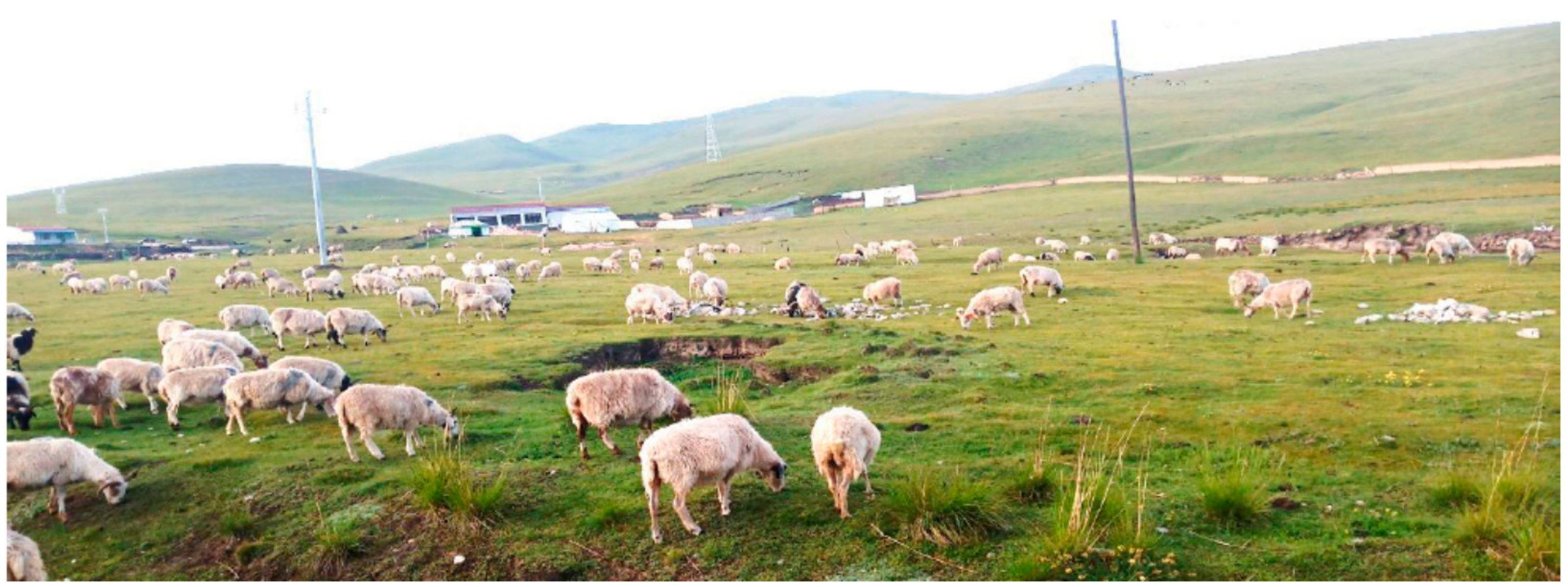 Sustainability 12 01099 g002