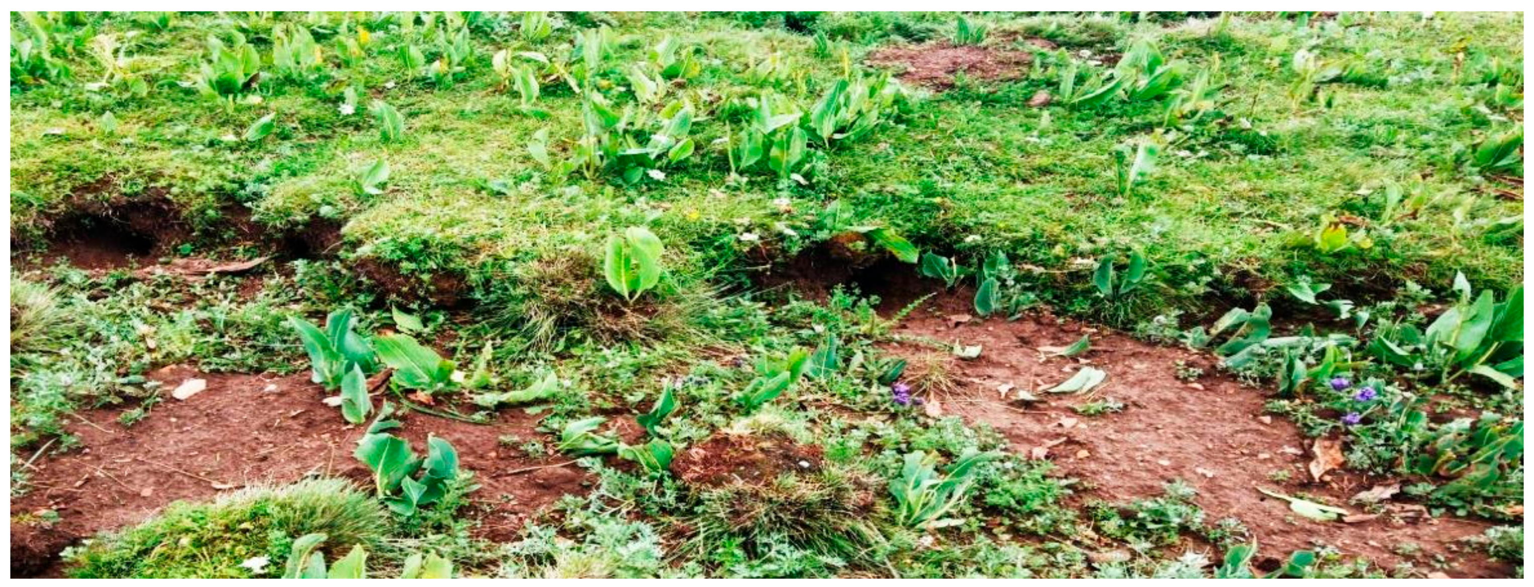 Sustainability 12 01099 g004a