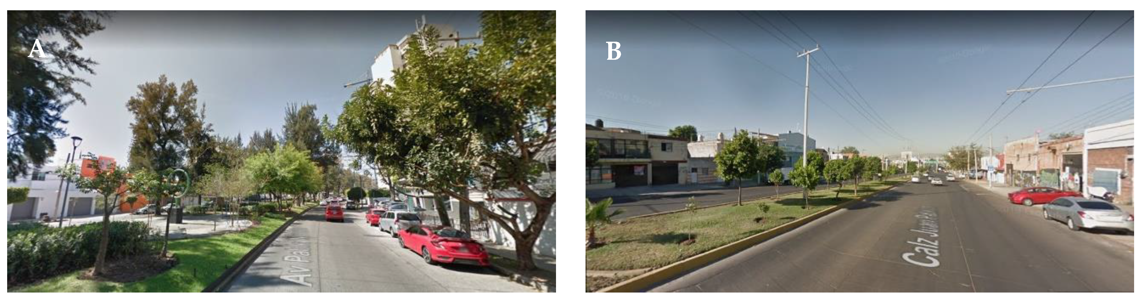 Sustainability 12 01215 g006