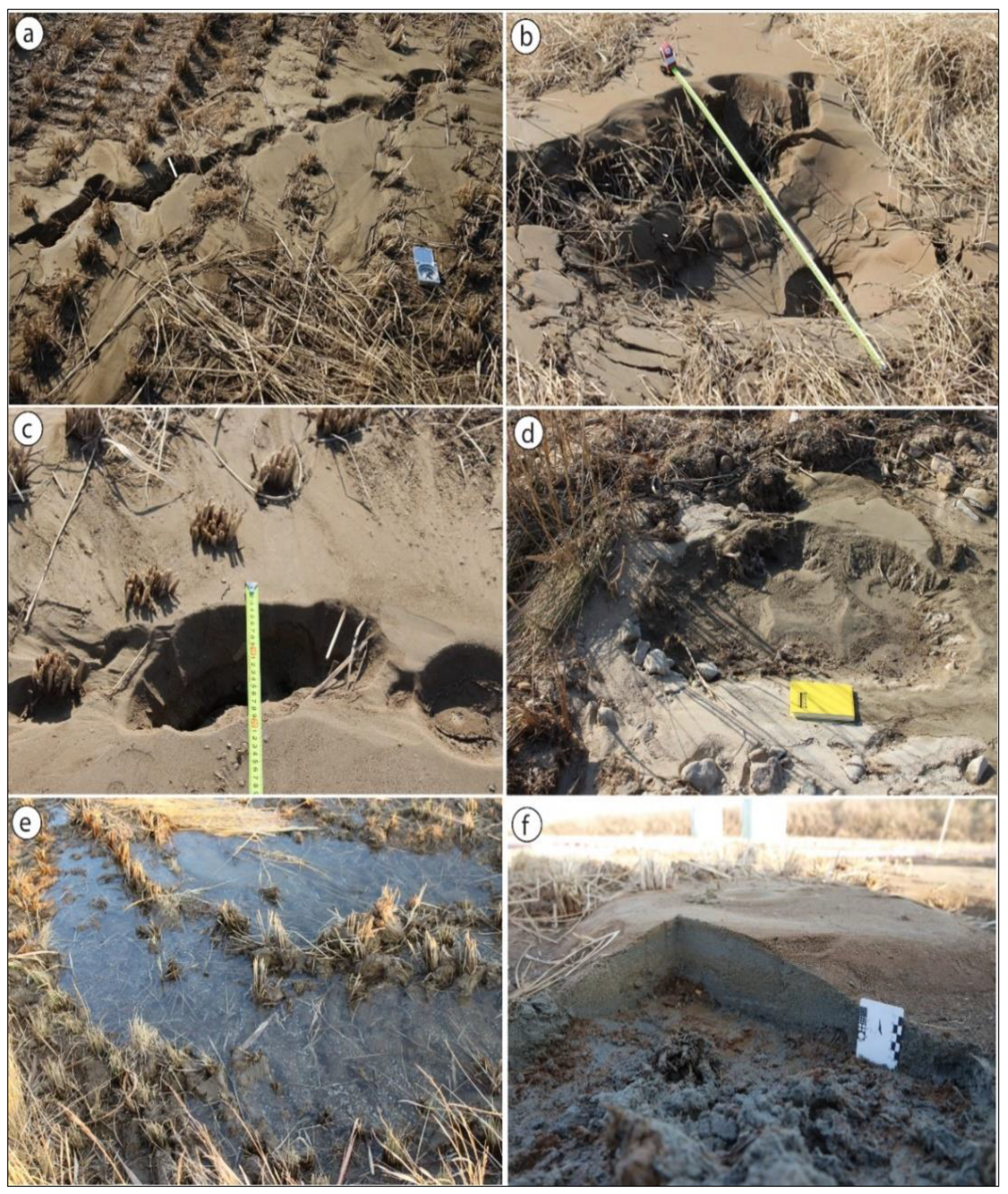 Sustainability 12 01234 g002 Sustainability 12 01234 g002