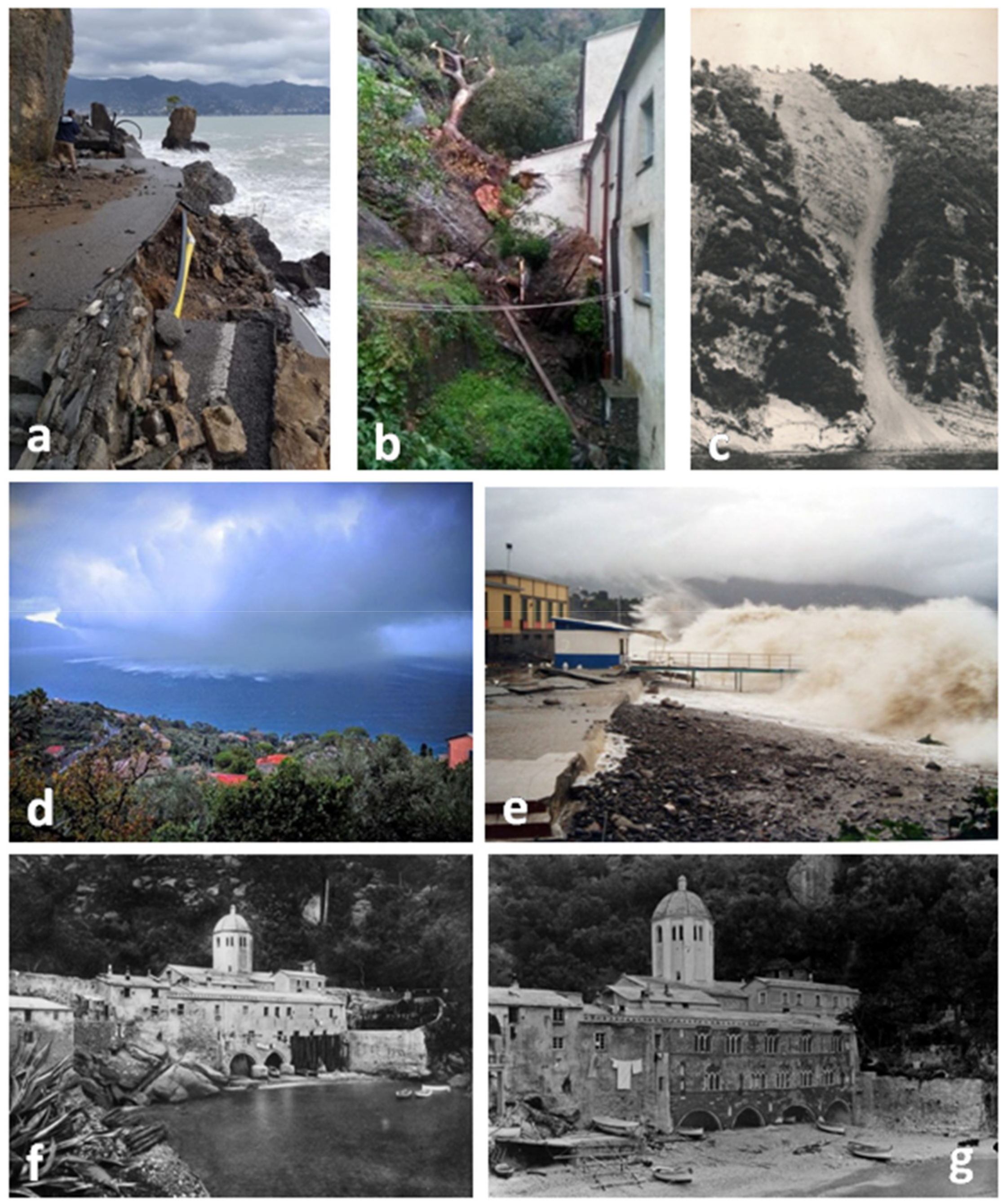 Sustainability 12 01240 g005