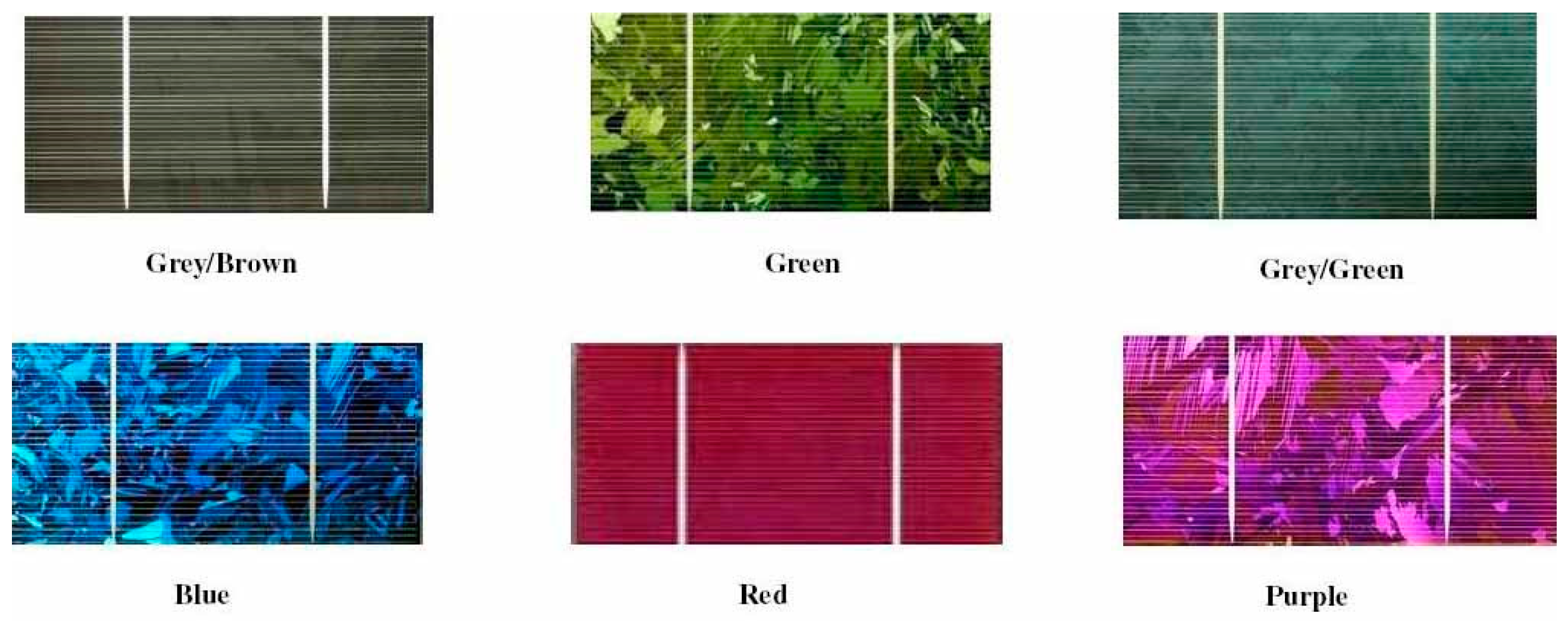 Sustainability 12 01408 g009