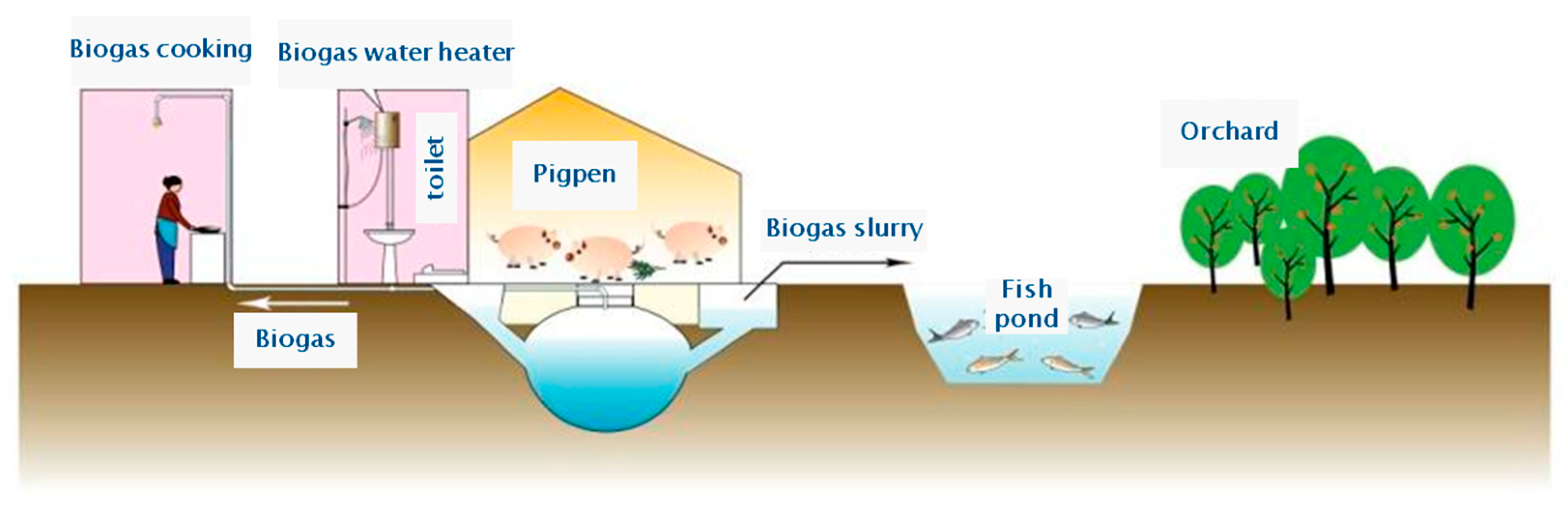 Sustainability 12 01490 g005