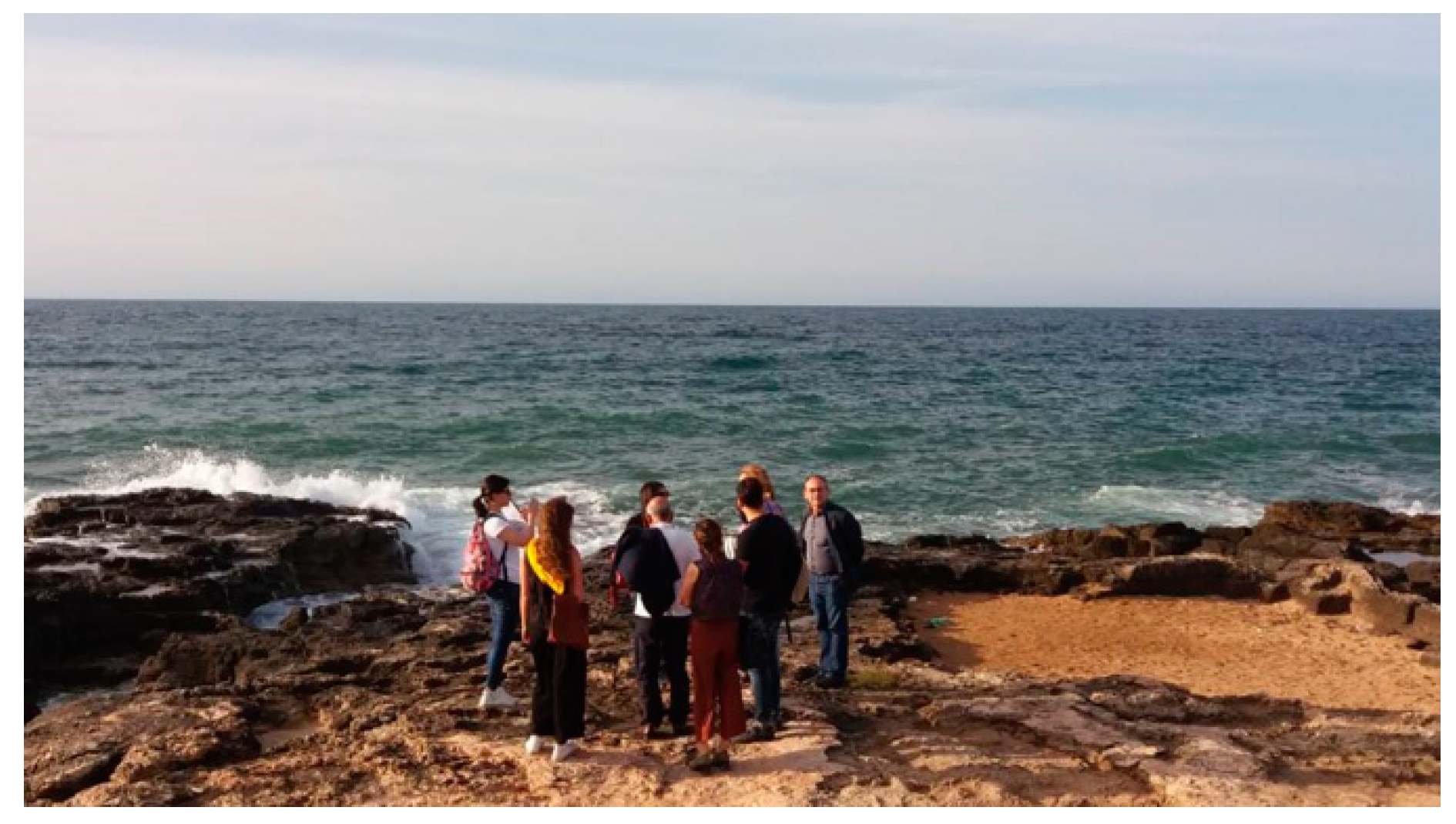 Sustainability 12 01516 g005