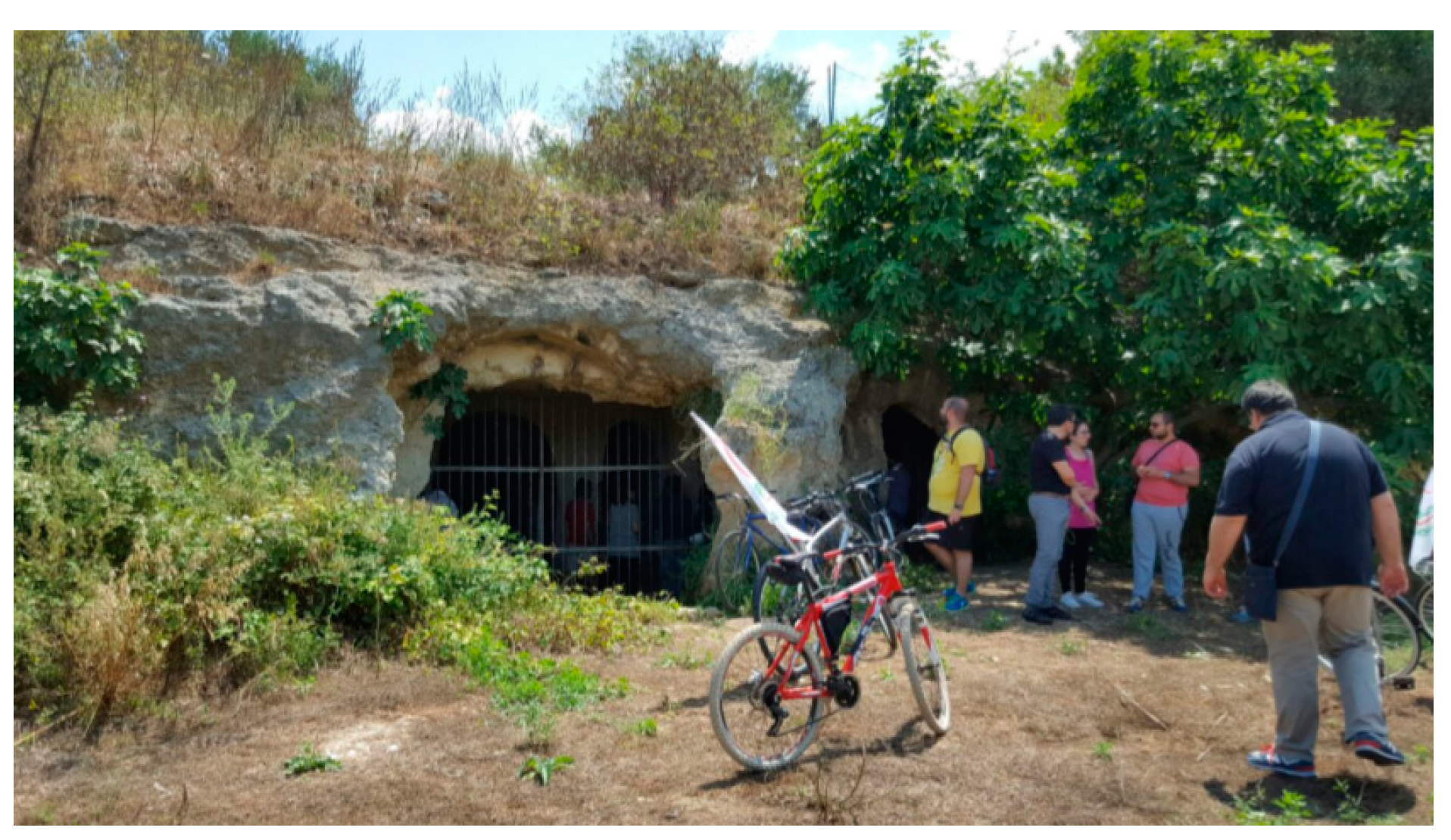 Sustainability 12 01516 g006