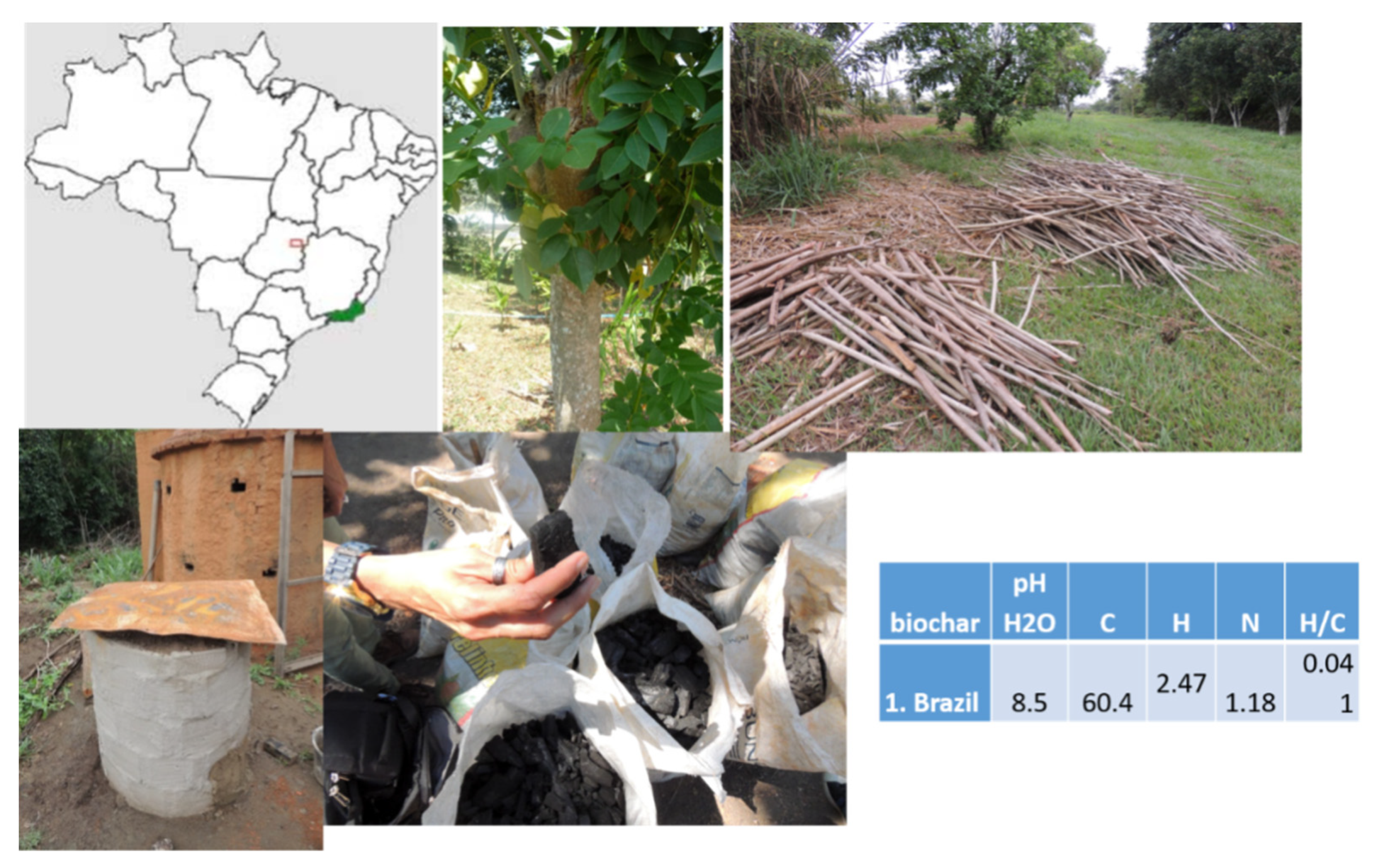 Sustainability 12 01526 g001