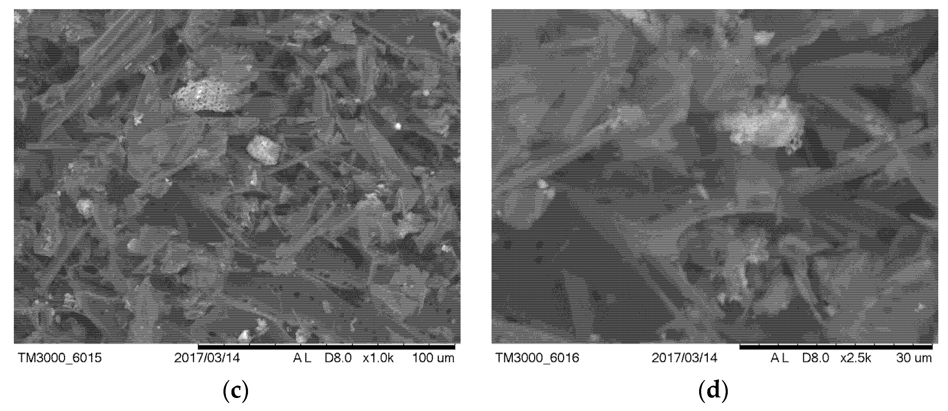 Sustainability 12 01526 g002b