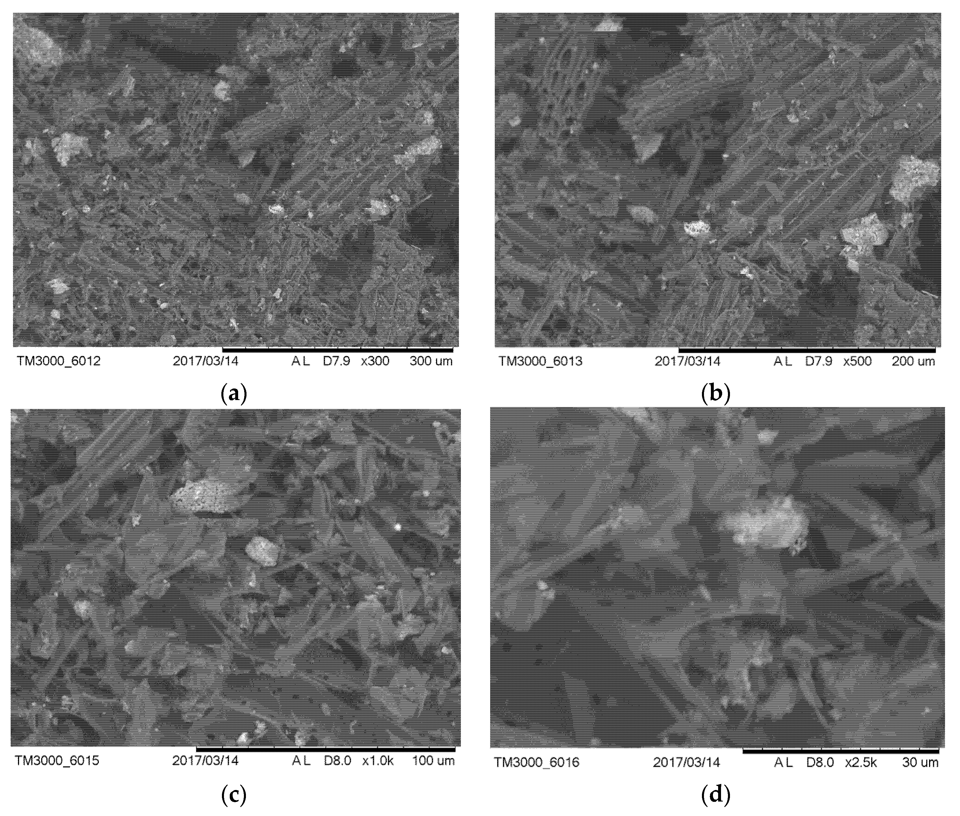 Sustainability 12 01526 g003