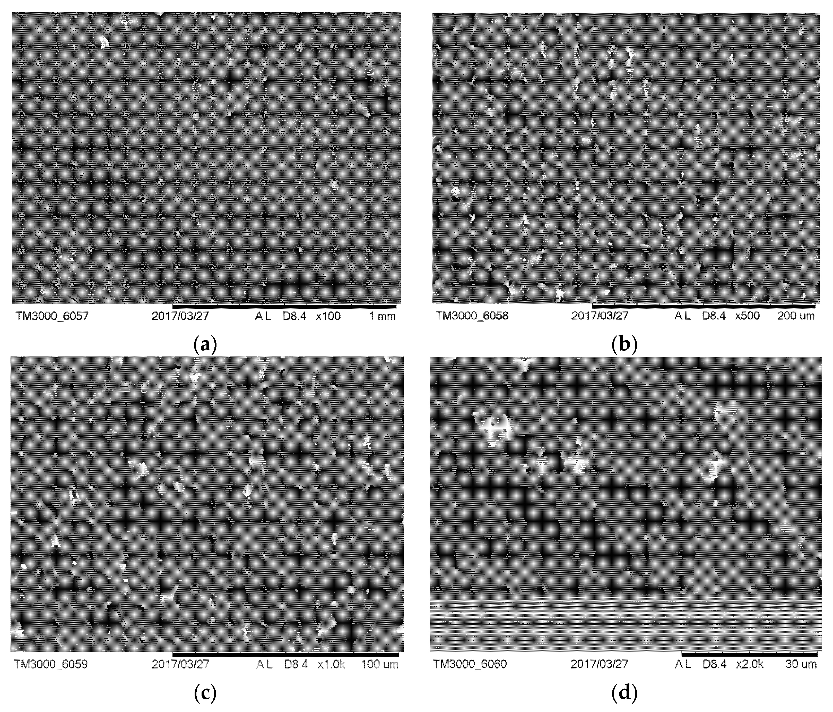Sustainability 12 01526 g004