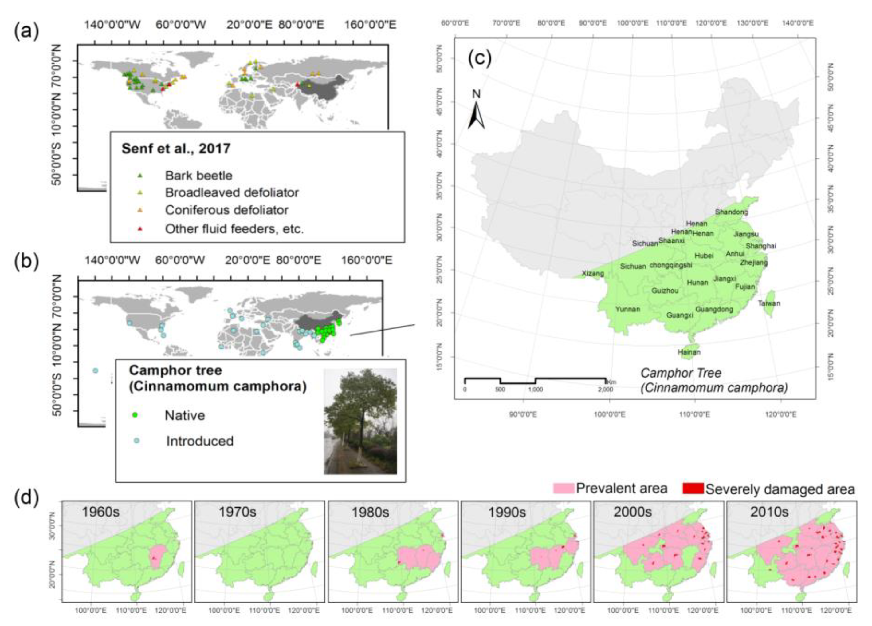 Sustainability 12 01582 g001