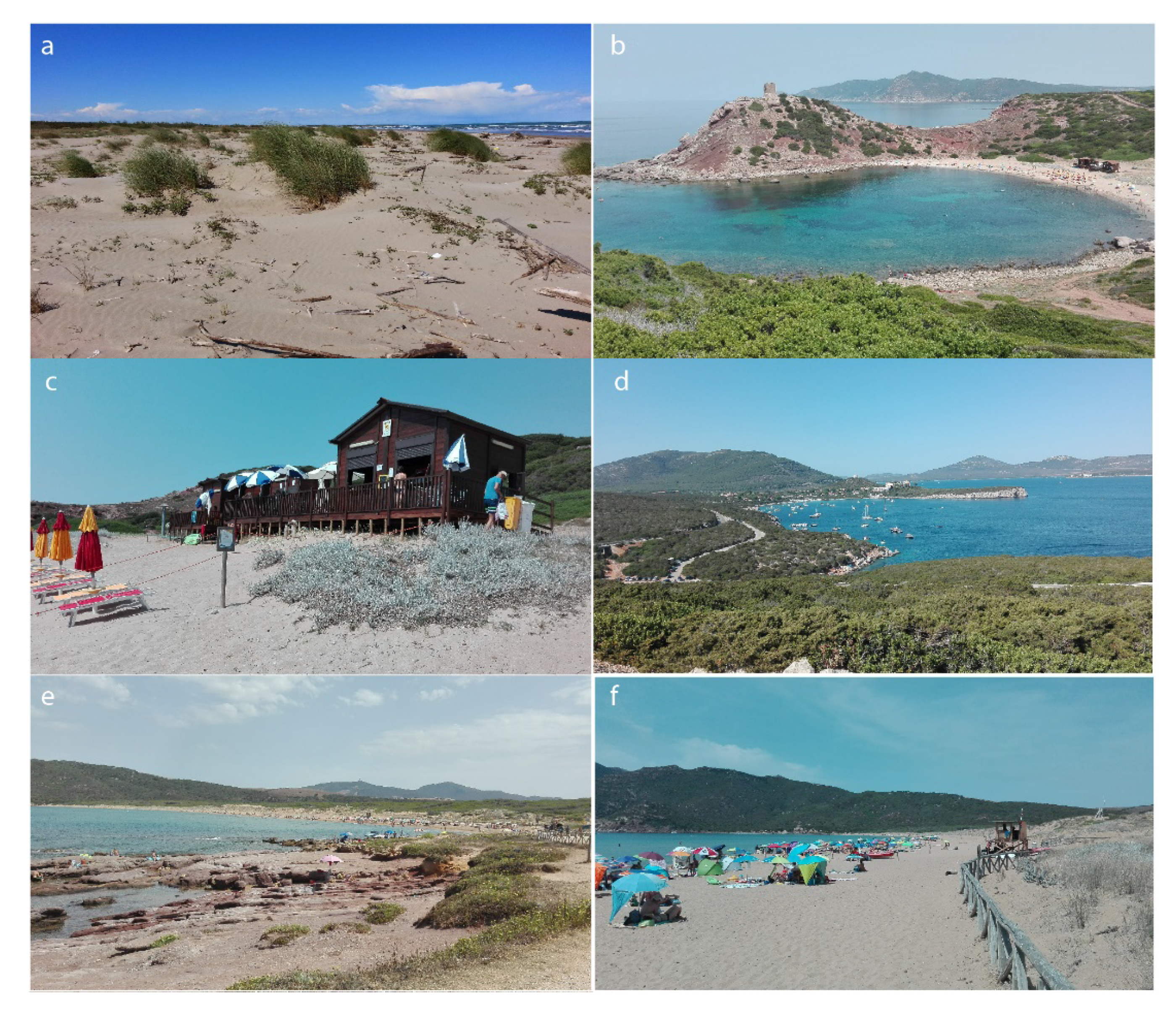 Sustainability 12 01604 g005