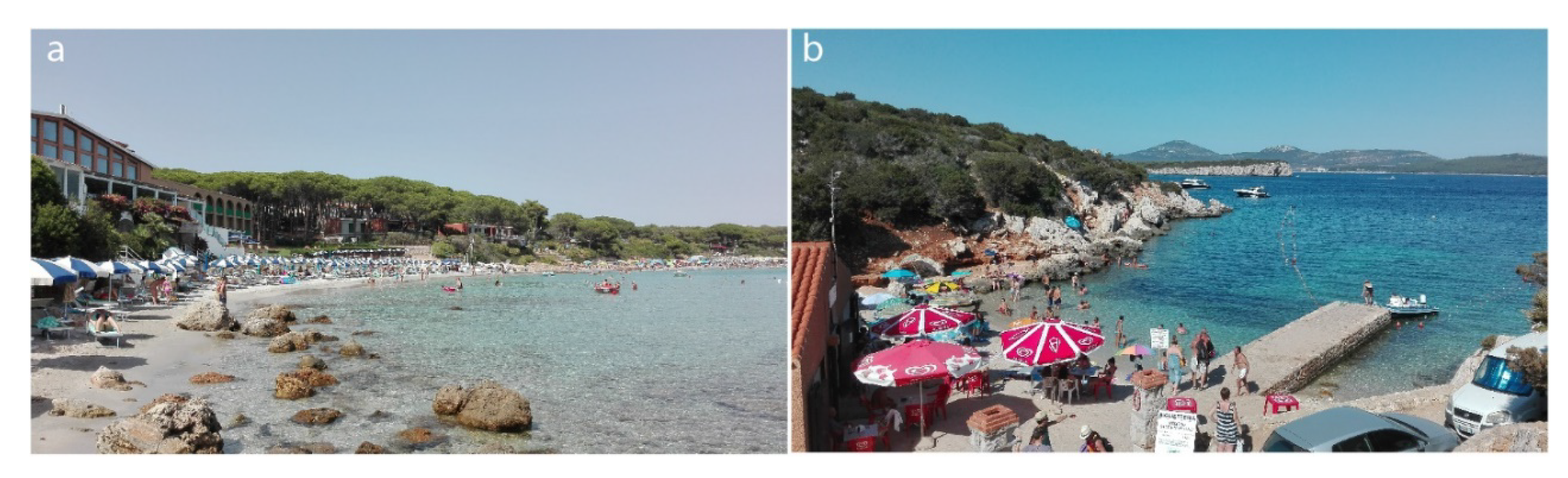 Sustainability 12 01604 g006