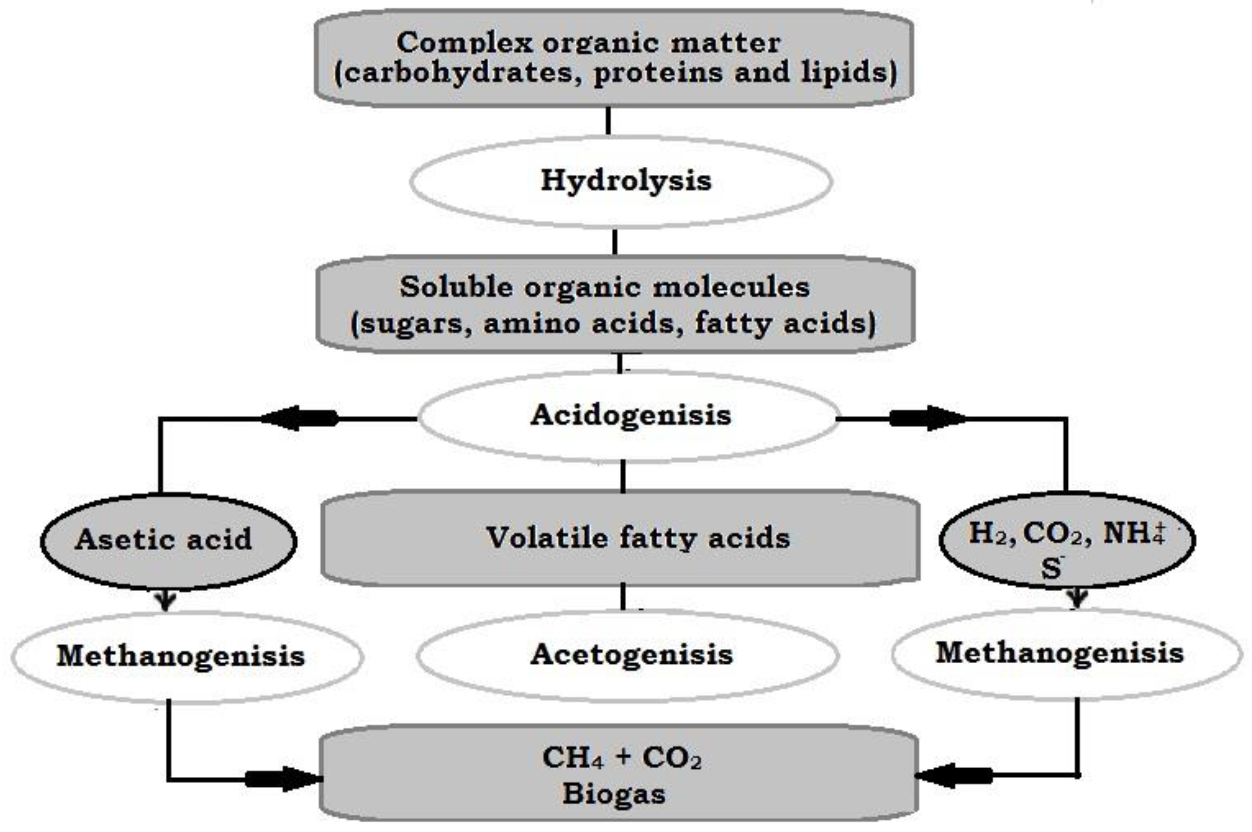 Sustainability 12 01614 g001