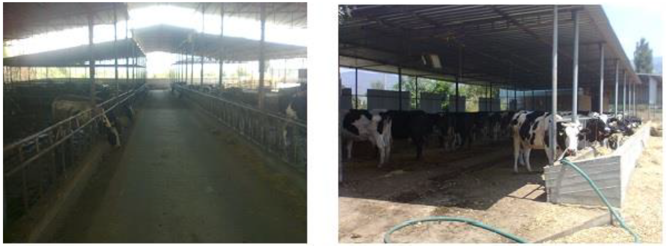 Sustainability 12 01614 g005