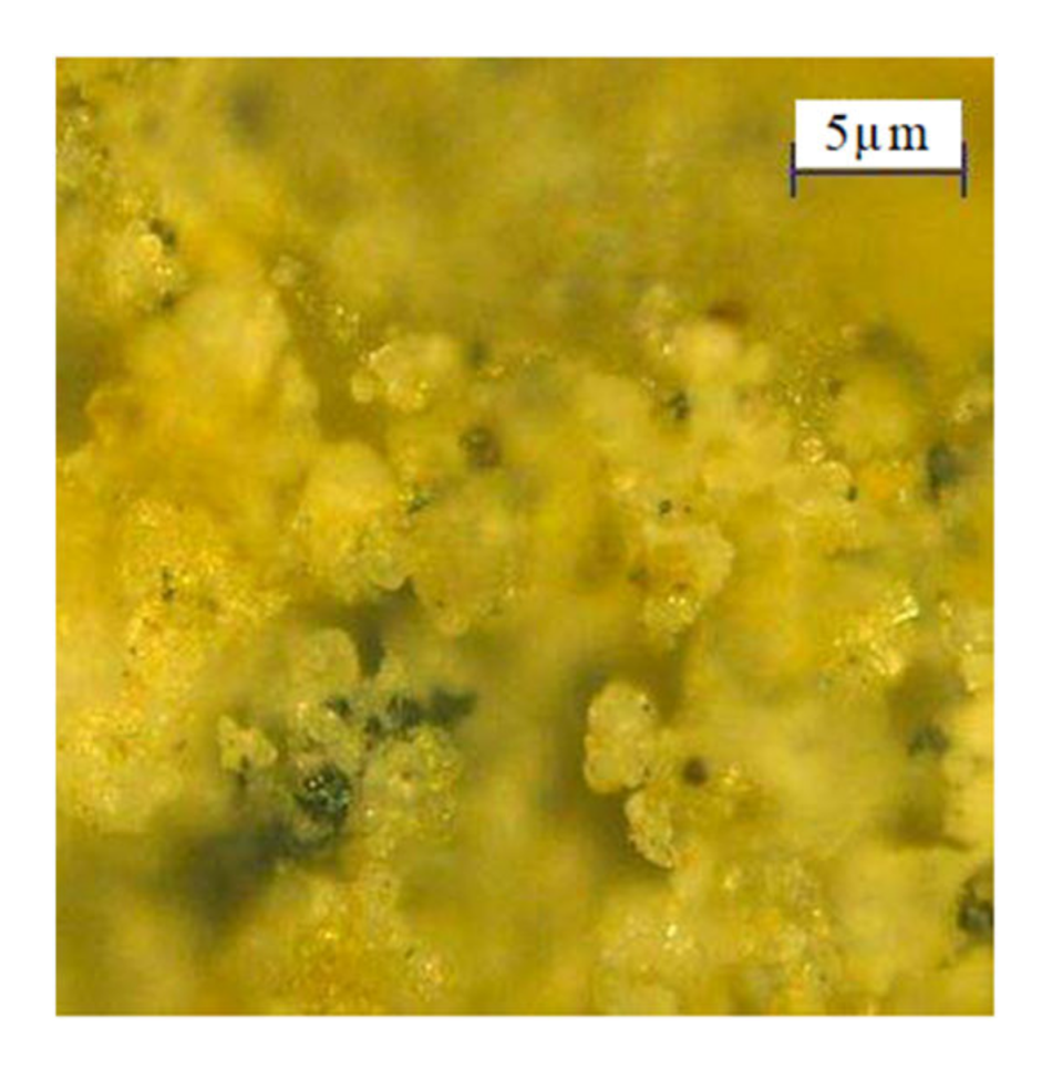 Sustainability 12 01616 g009