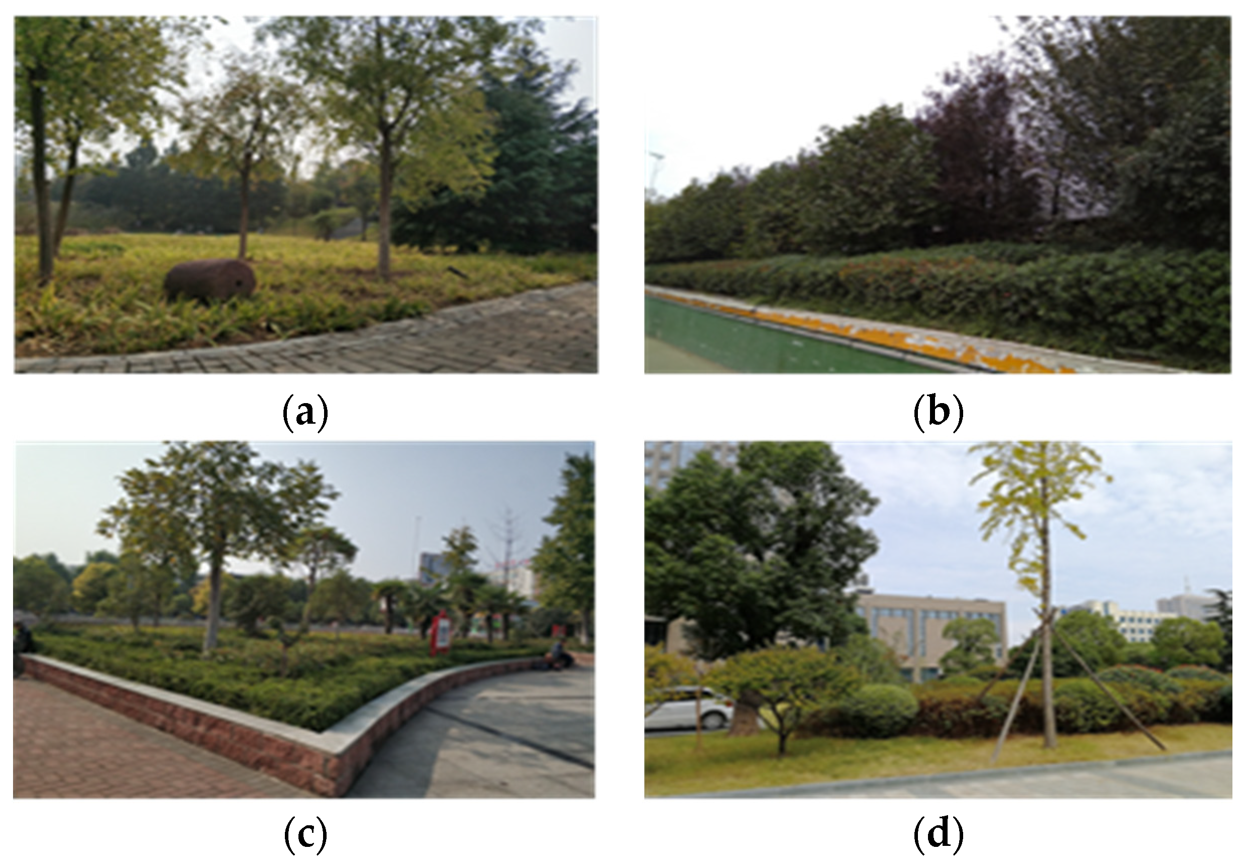 Sustainability 12 01630 g002