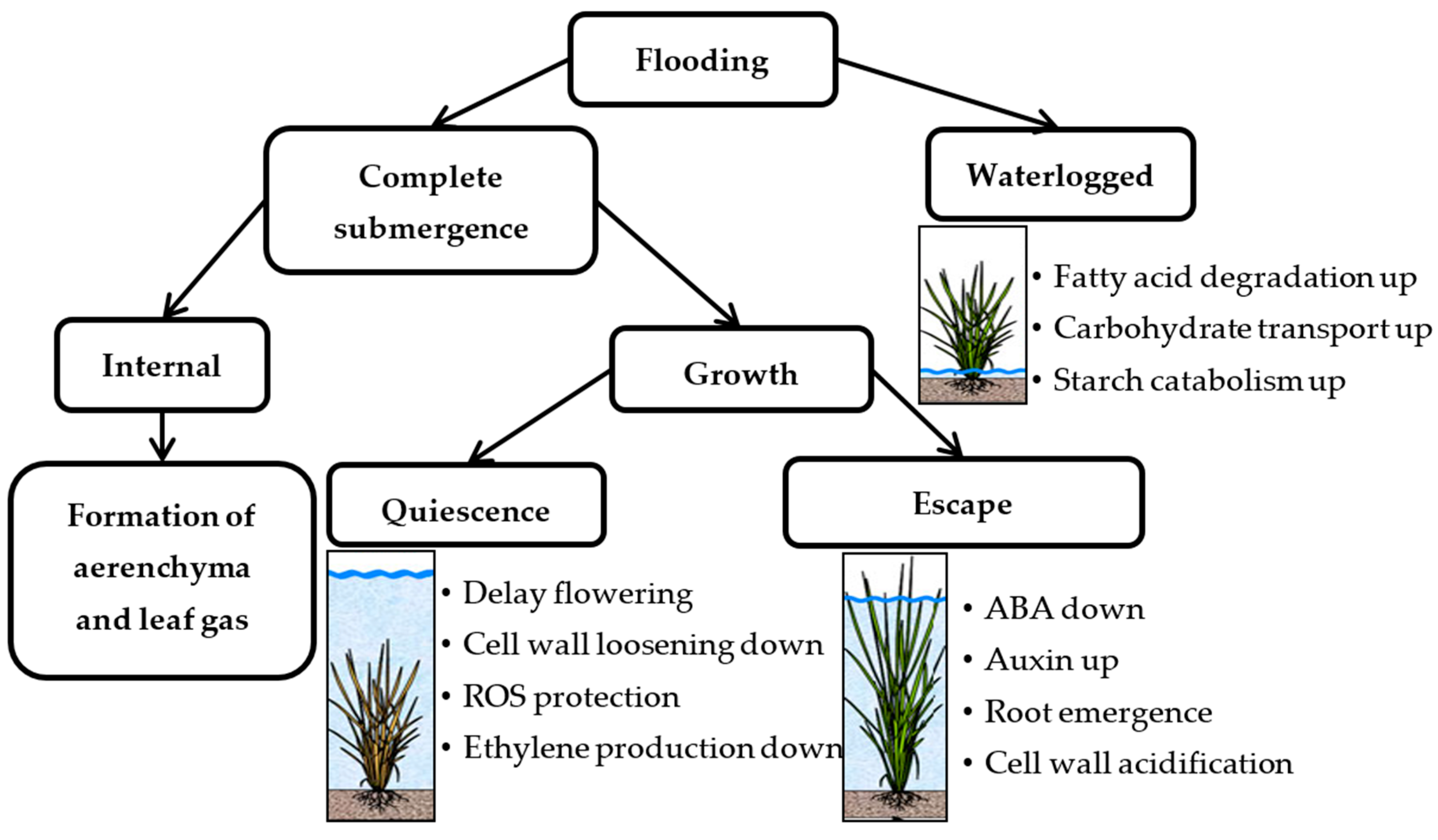 Sustainability 12 01632 g002