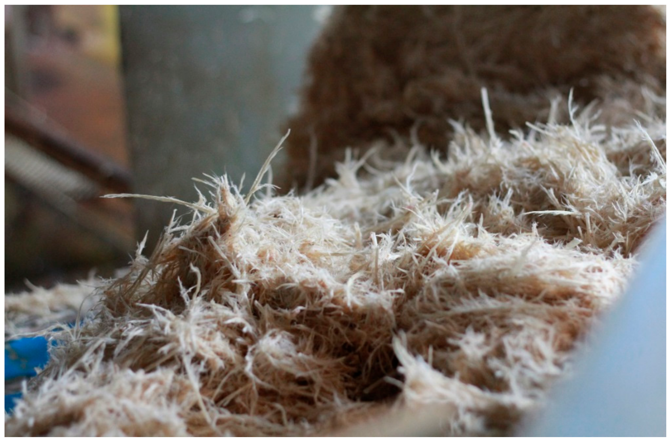 Sustainability 12 01725 g002 Sustainability 12 01725 g002