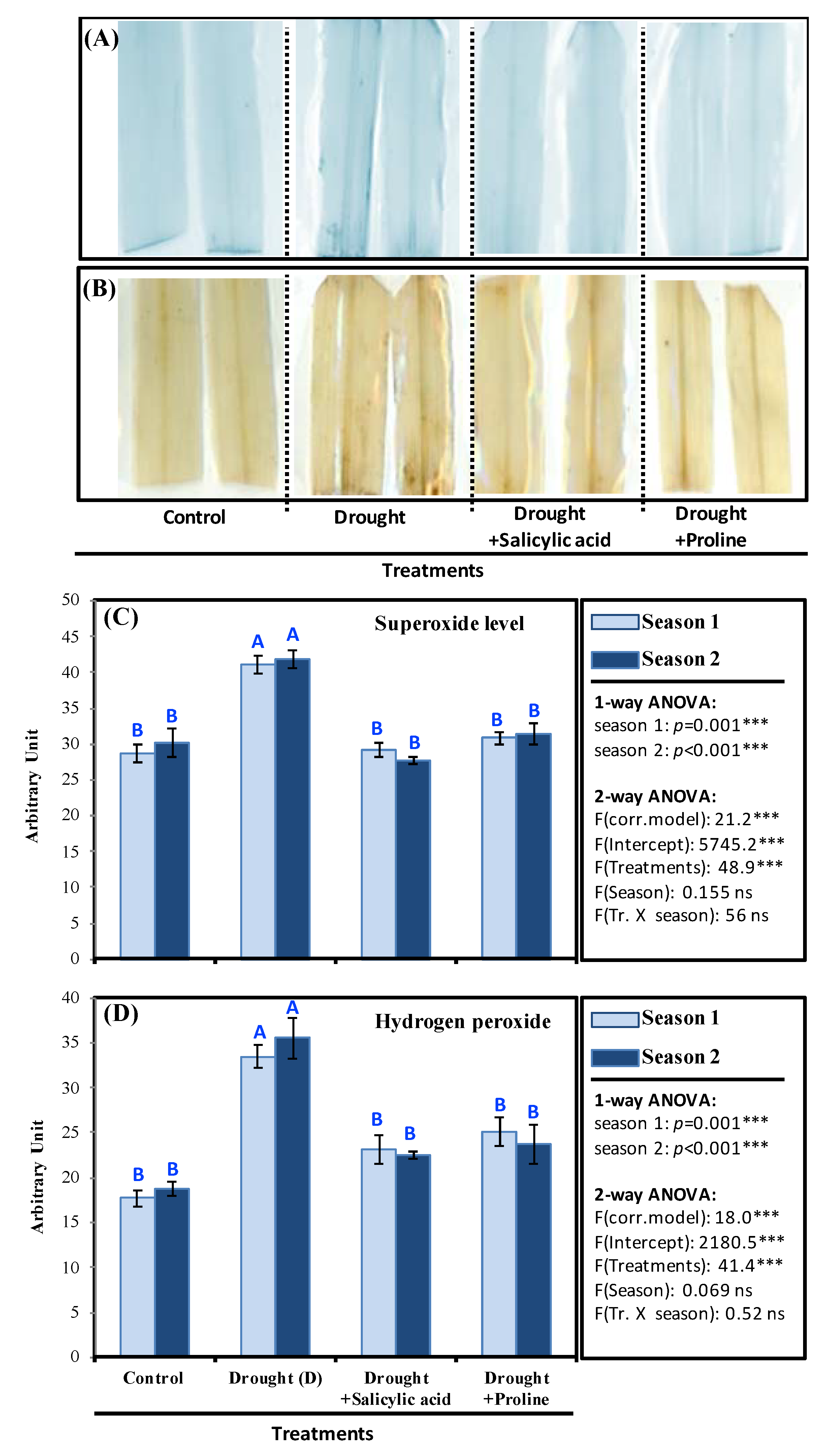 Sustainability 12 01736 g003