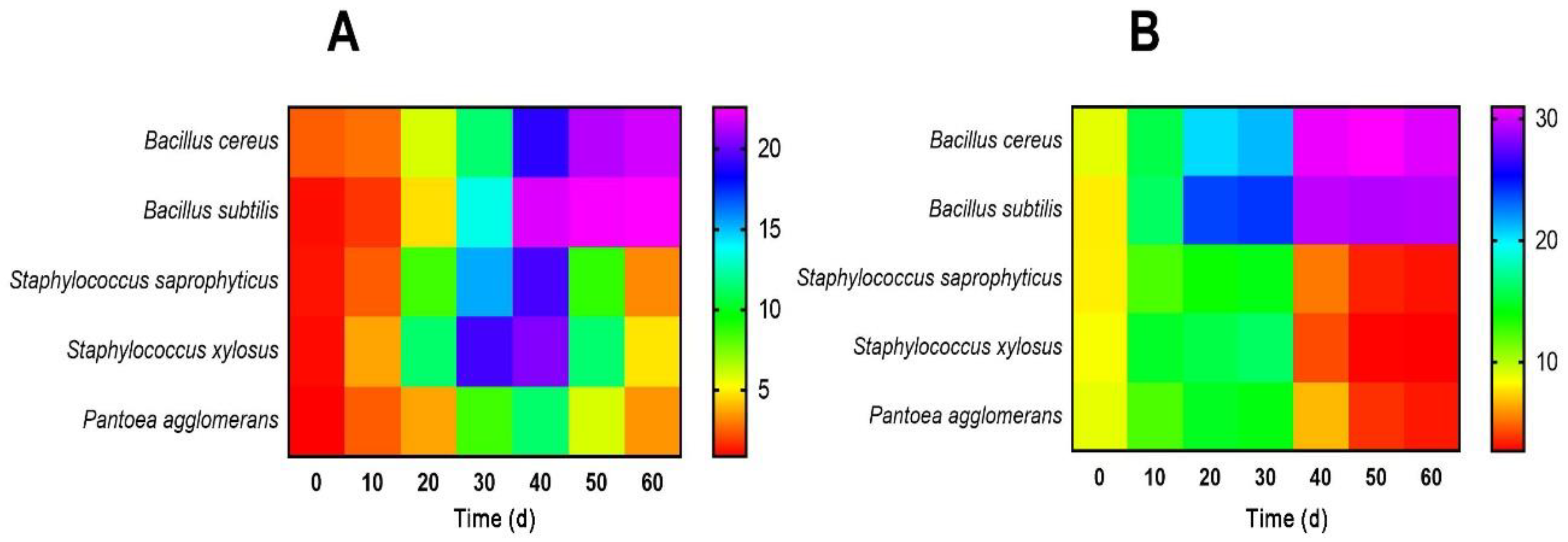 Sustainability 12 01815 g004