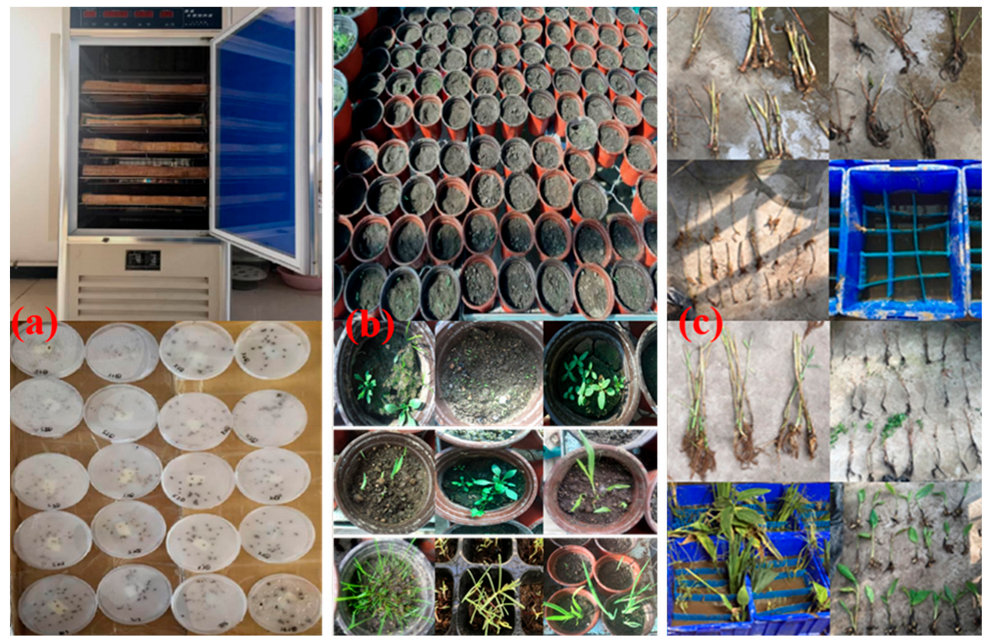 Sustainability 12 01913 g001