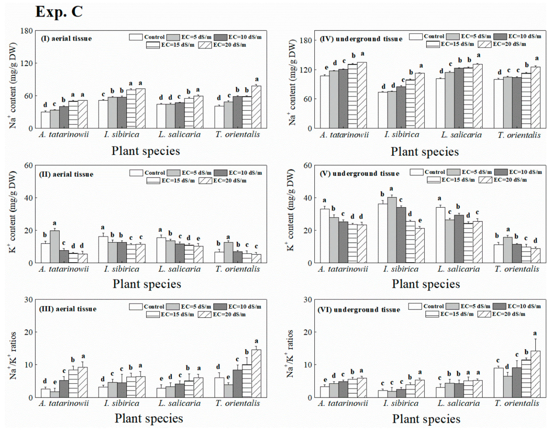 Sustainability 12 01913 g007