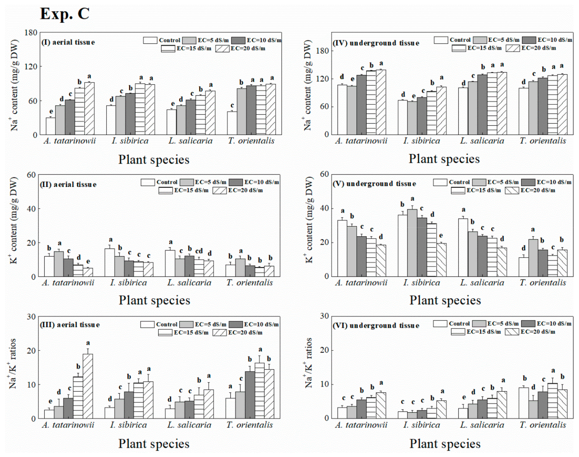 Sustainability 12 01913 g008