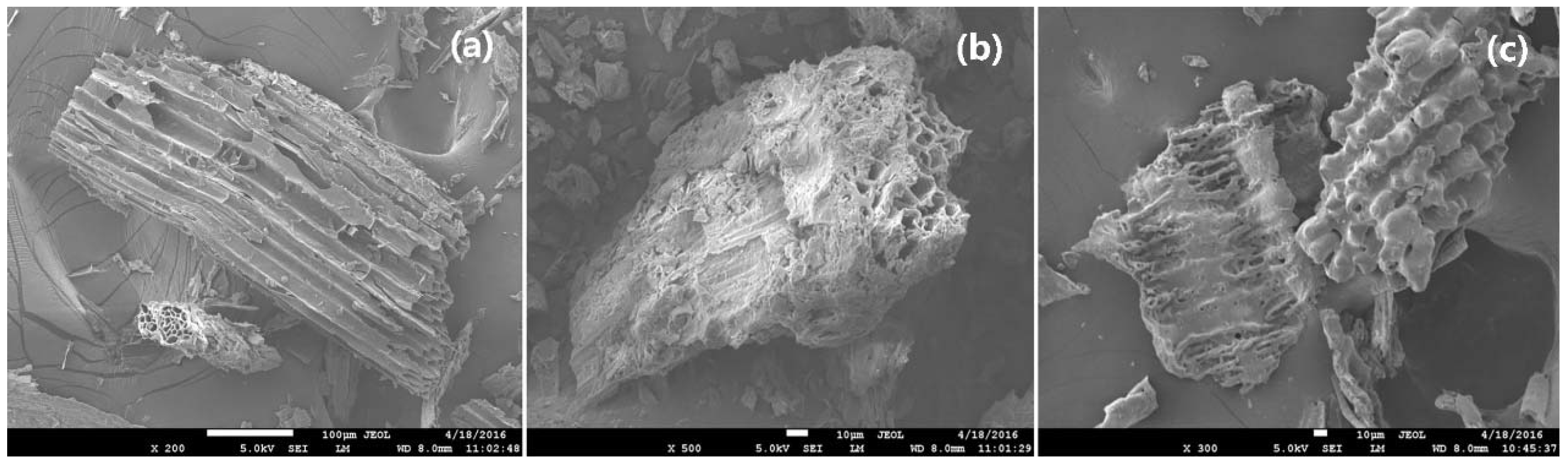 Sustainability 12 01922 g001