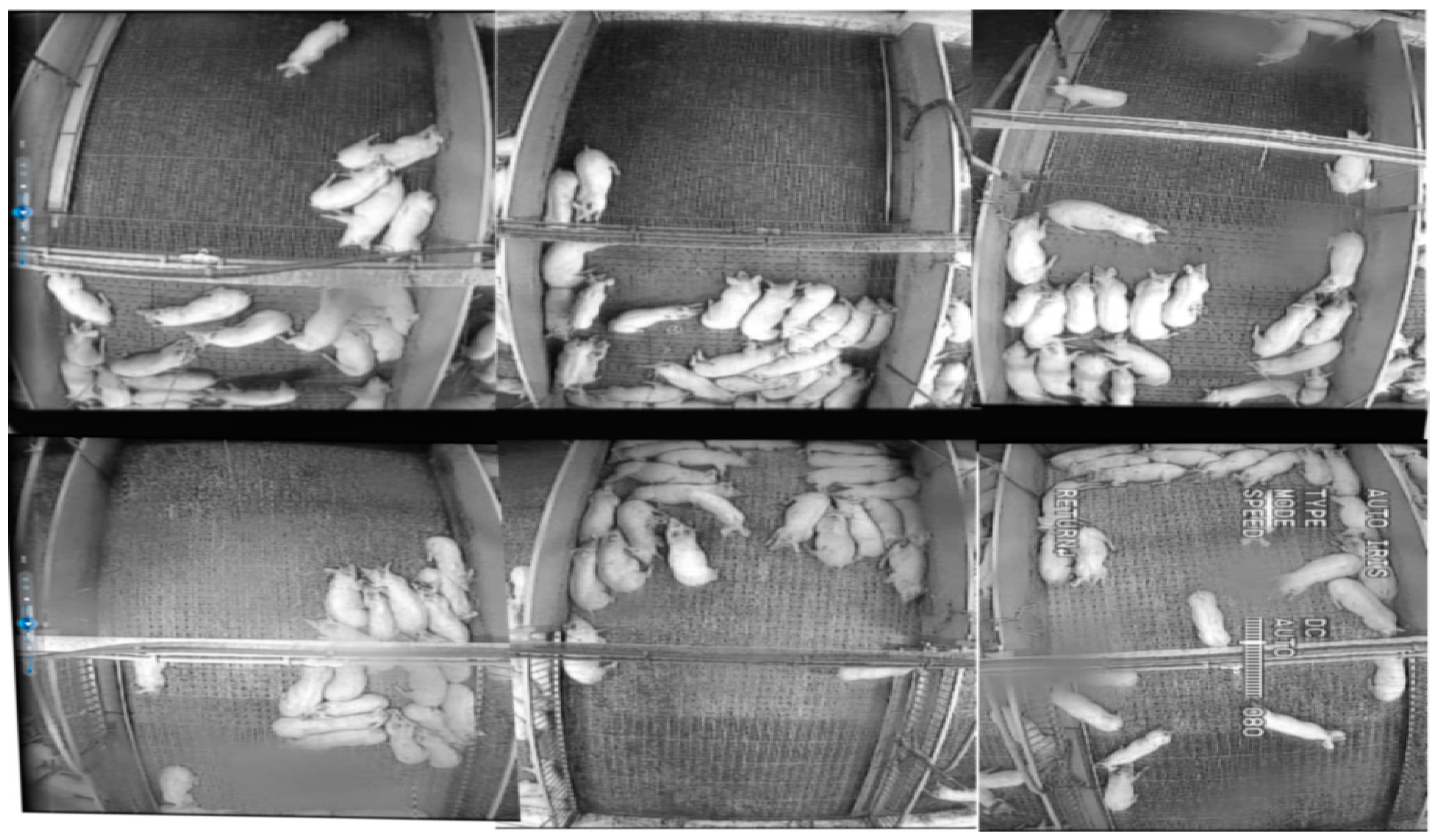 Sustainability 12 01928 g002 Sustainability 12 01928 g002