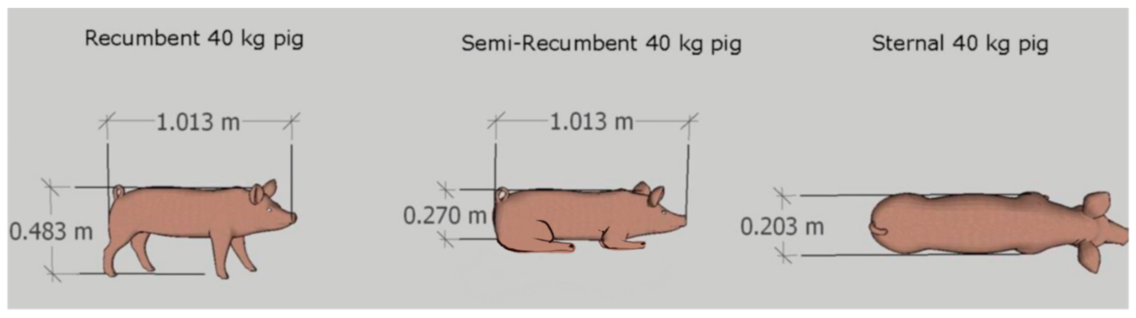 Sustainability 12 01928 g004 Sustainability 12 01928 g004