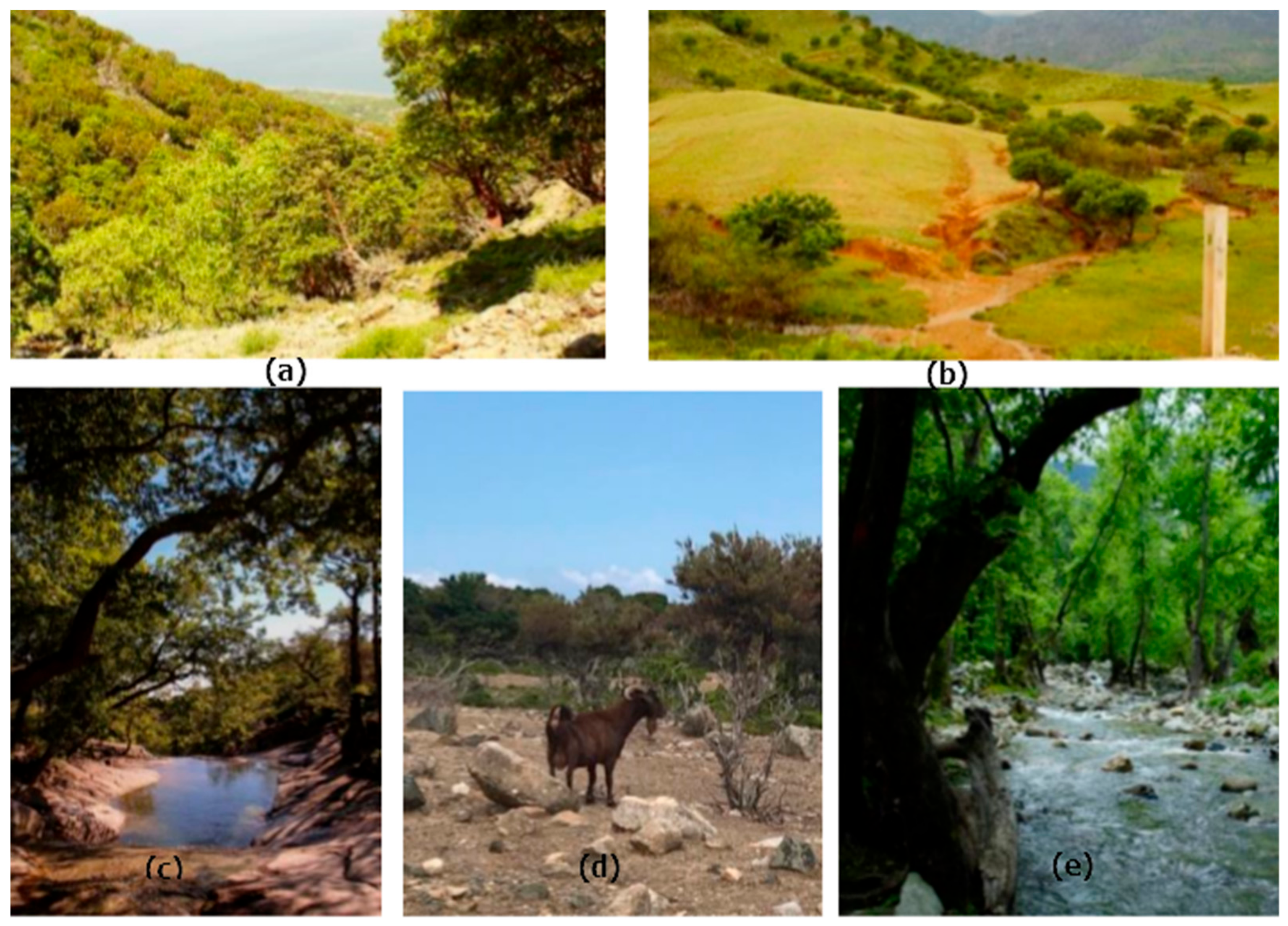 Sustainability 12 01932 g005 Sustainability 12 01932 g005