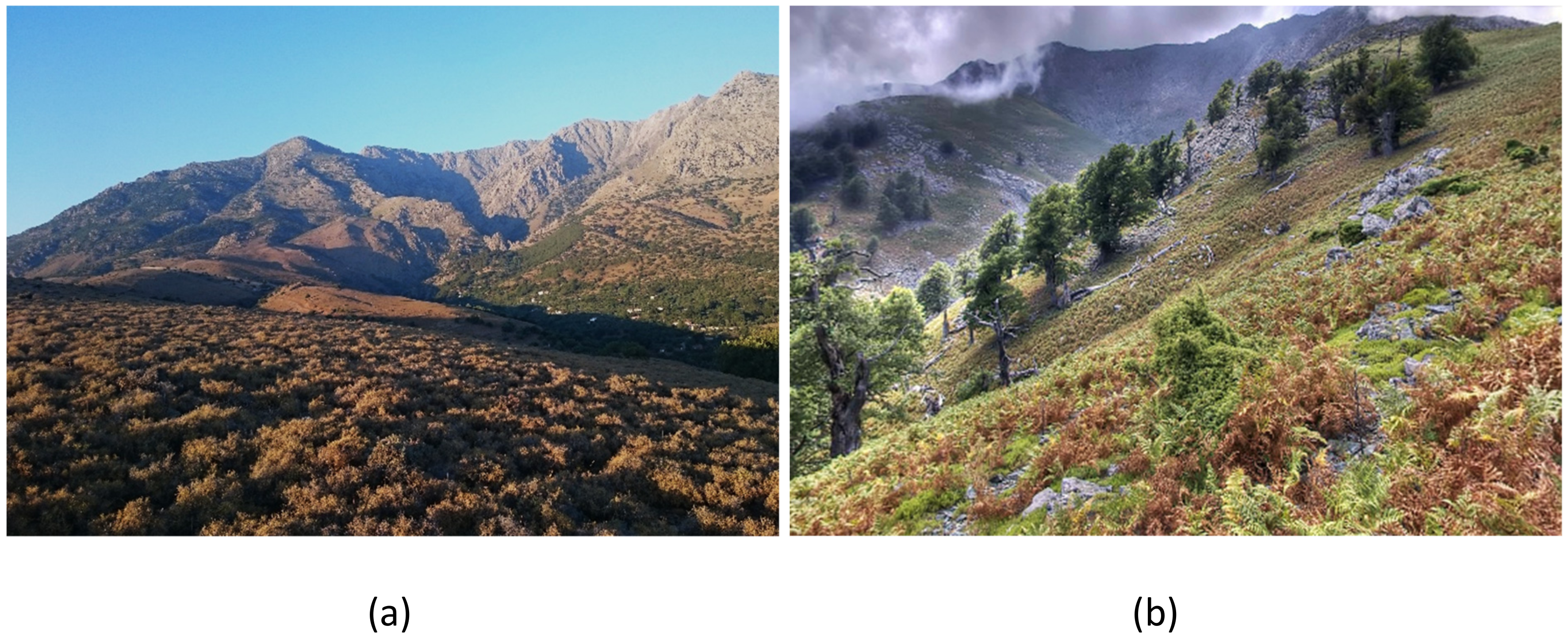 Sustainability 12 01932 g007 Sustainability 12 01932 g007