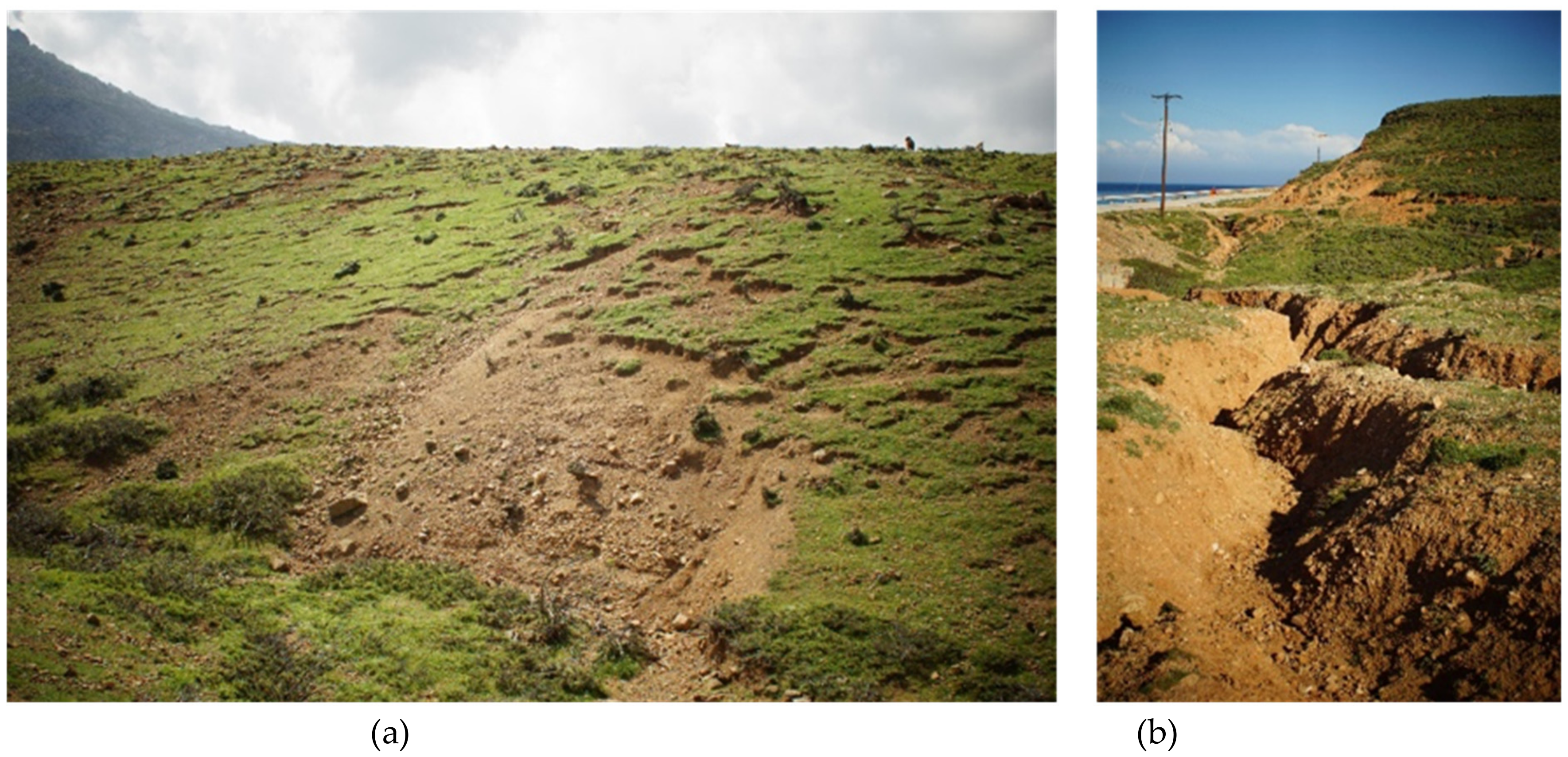 Sustainability 12 01932 g011 Sustainability 12 01932 g011