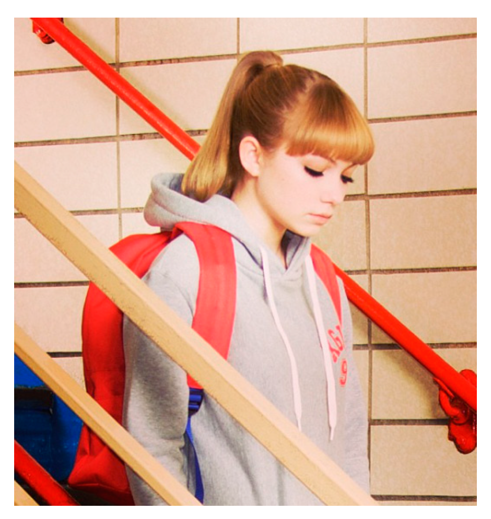 Sustainability 12 01979 g008