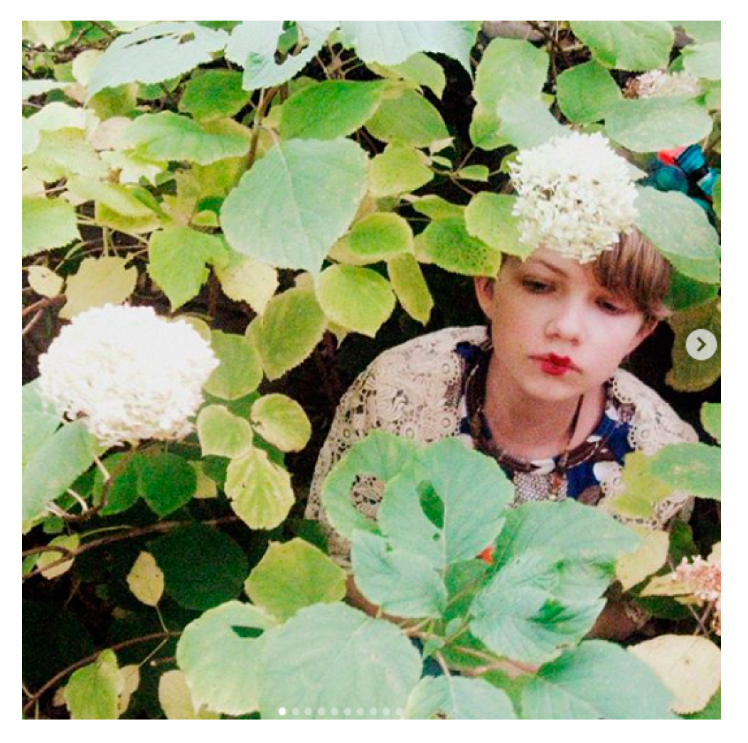 Sustainability 12 01979 g012