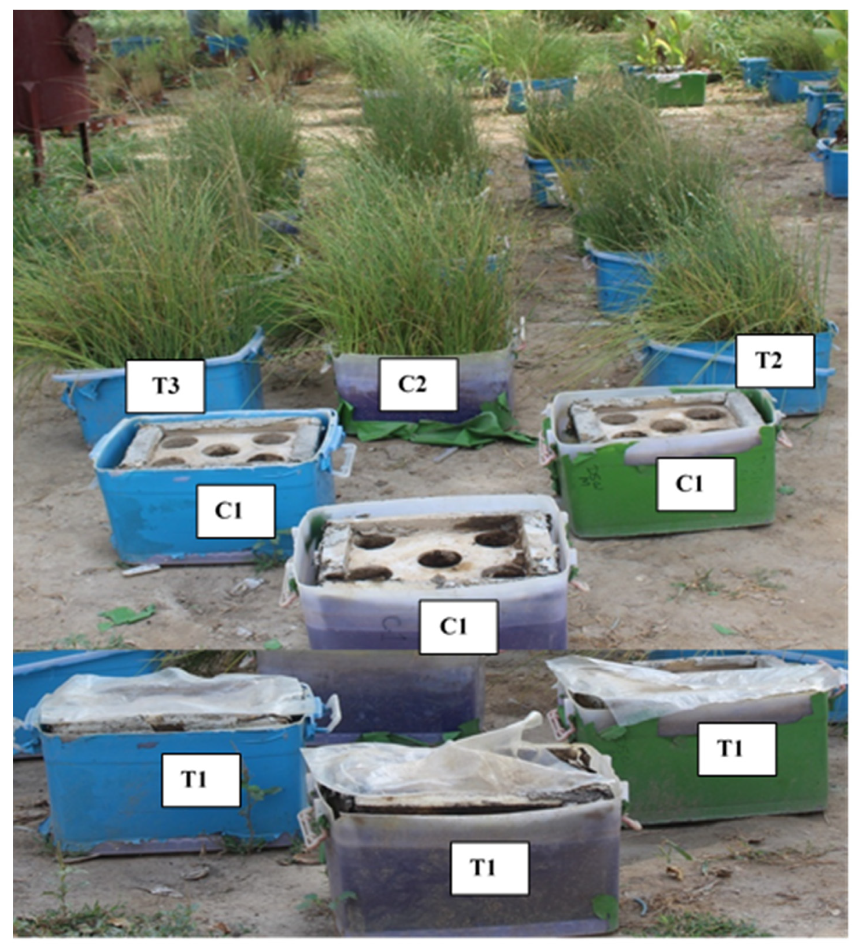 Sustainability 12 02353 g001 Sustainability 12 02353 g001