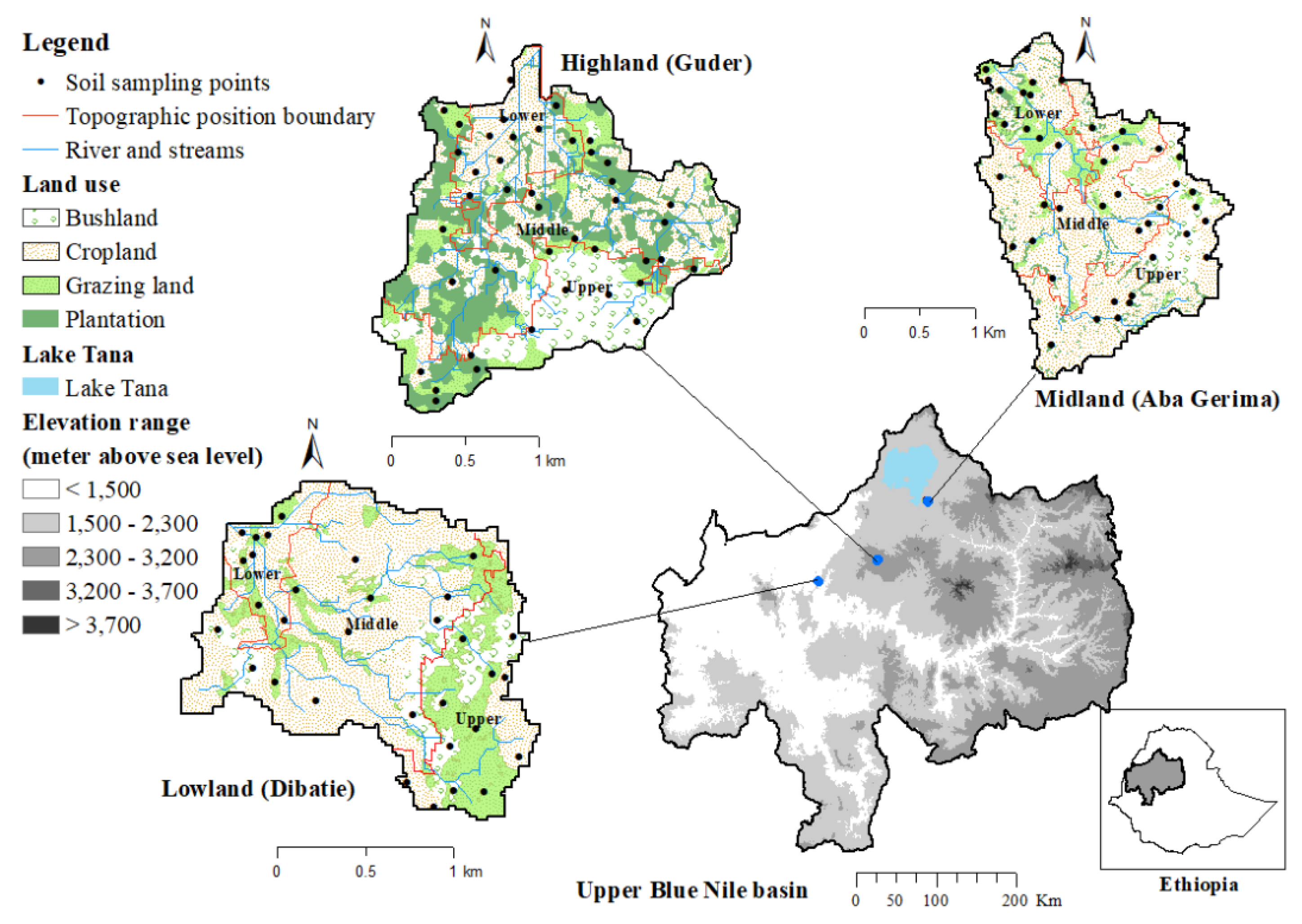 Sustainability 12 02425 g001