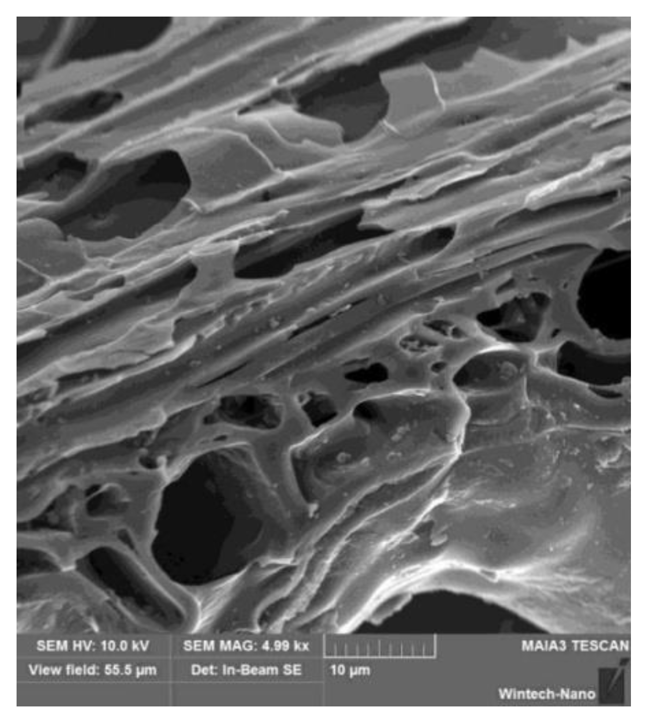 Sustainability 12 02458 g001