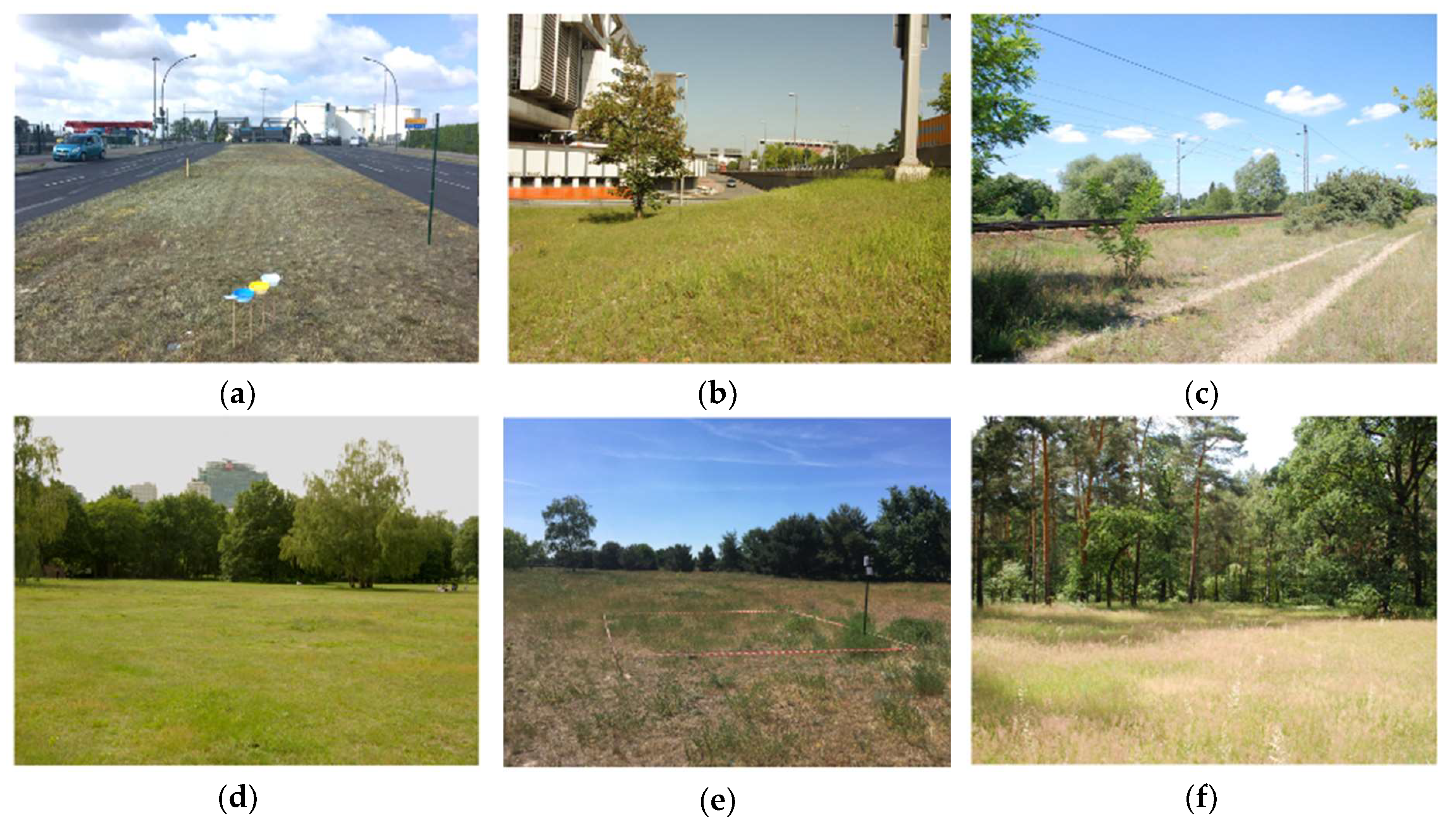 Sustainability 12 02565 g004