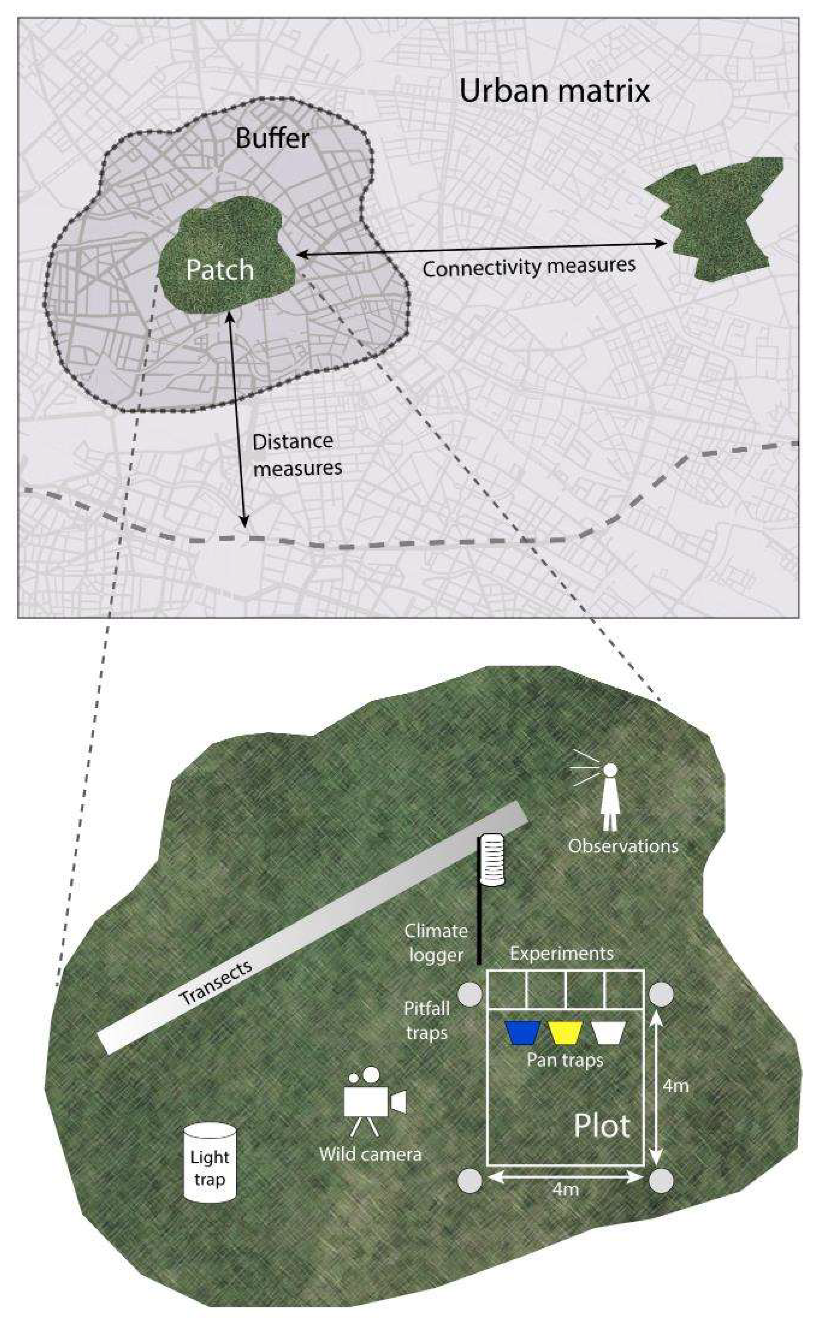 Sustainability 12 02565 g005