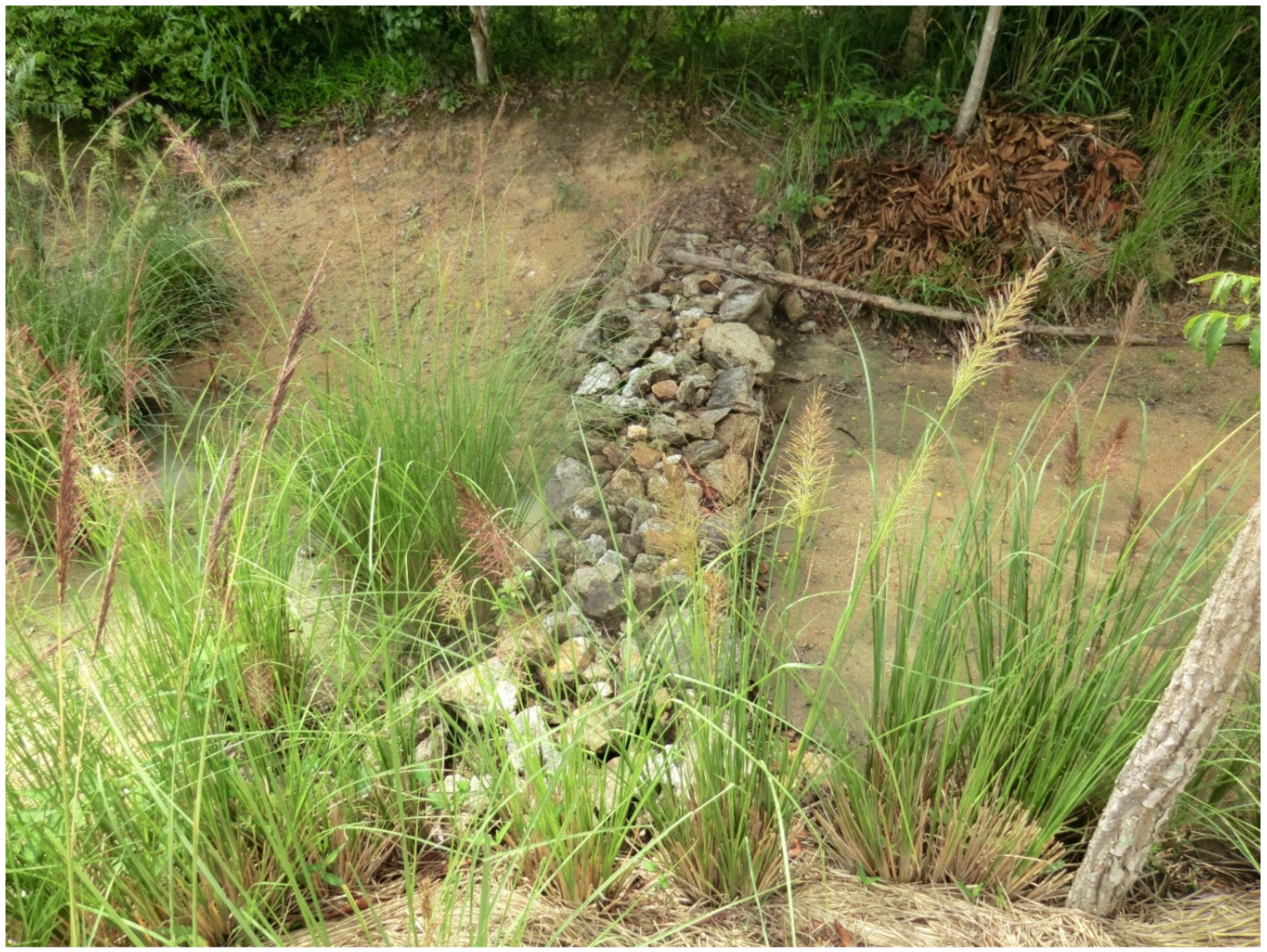 Sustainability 12 02625 g003