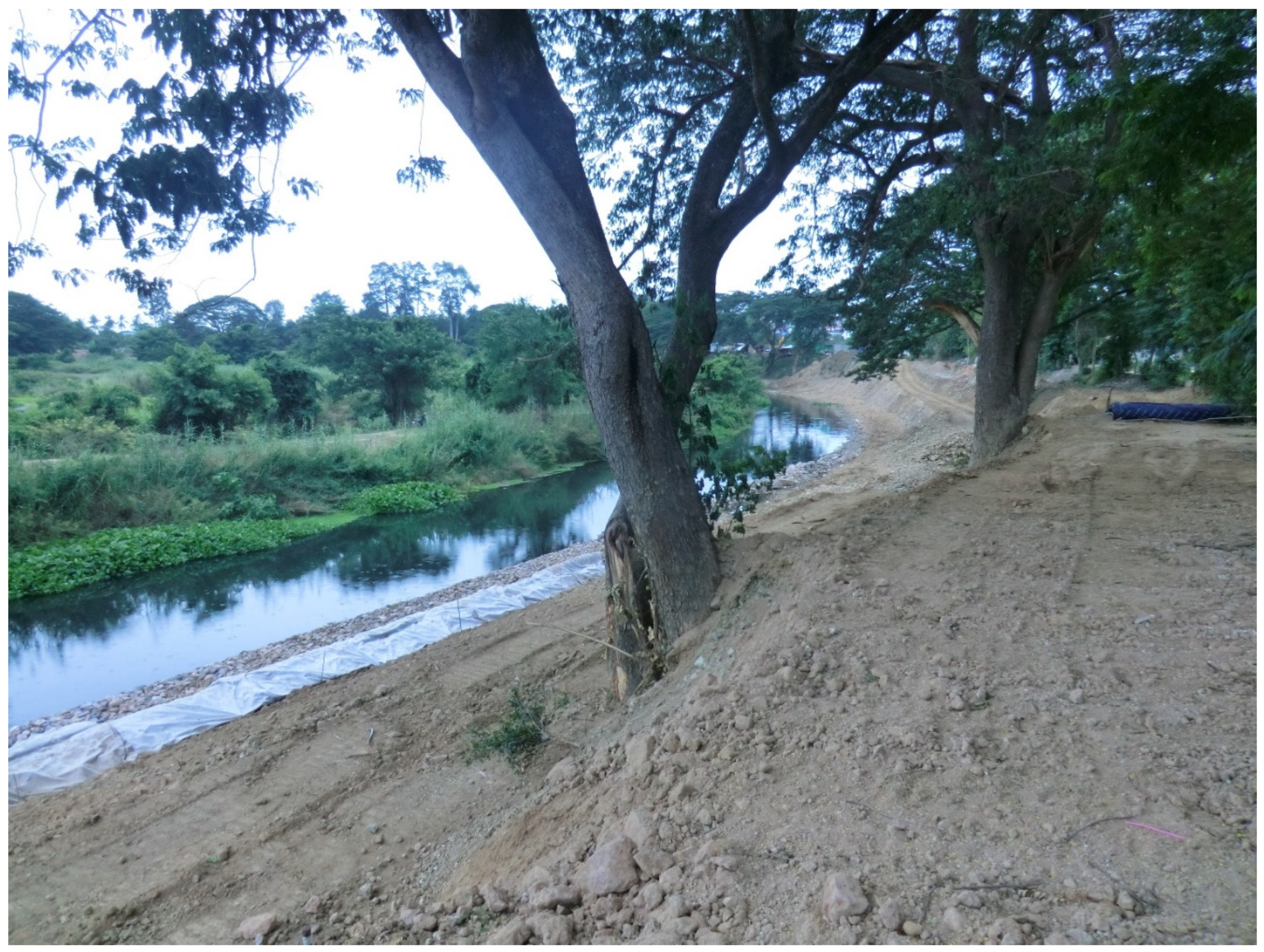 Sustainability 12 02625 g004