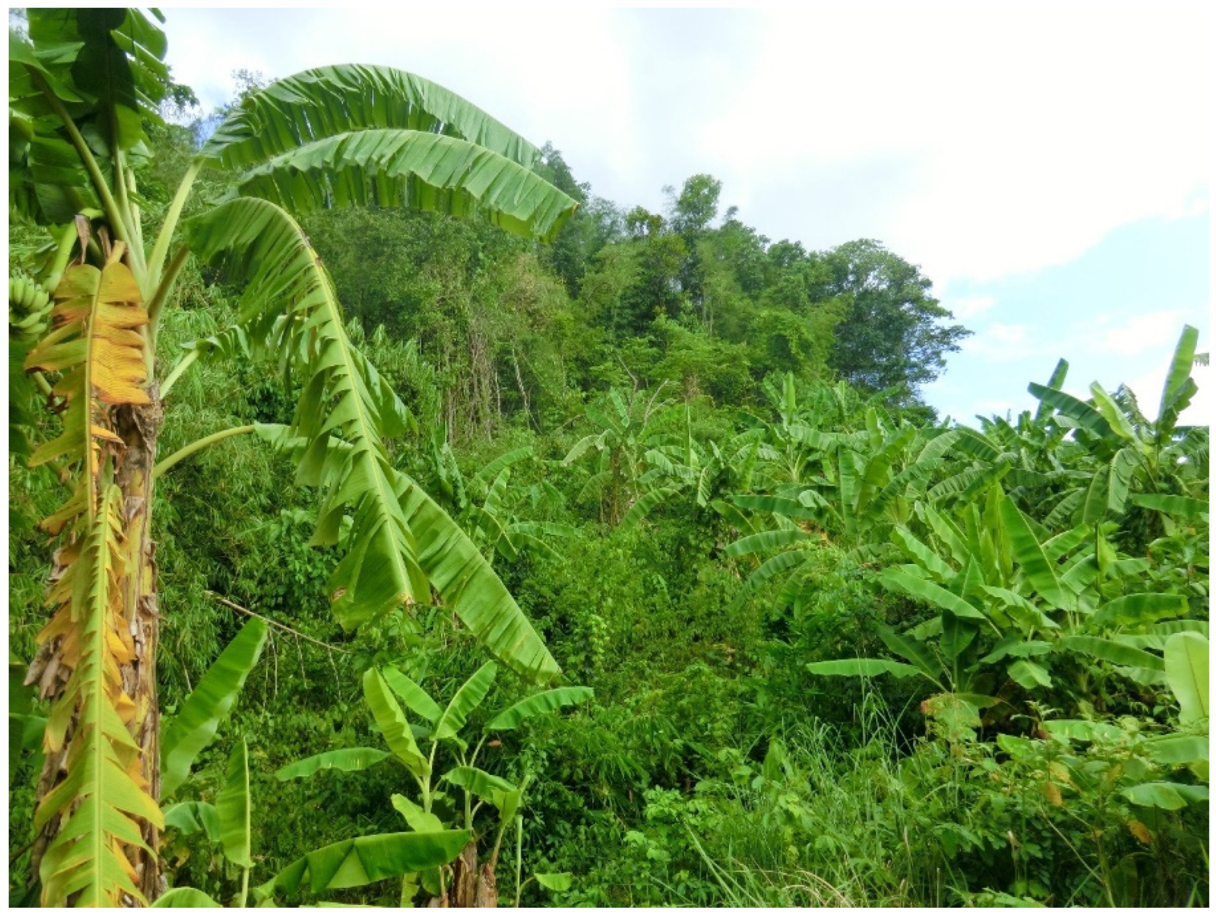 Sustainability 12 02625 g005