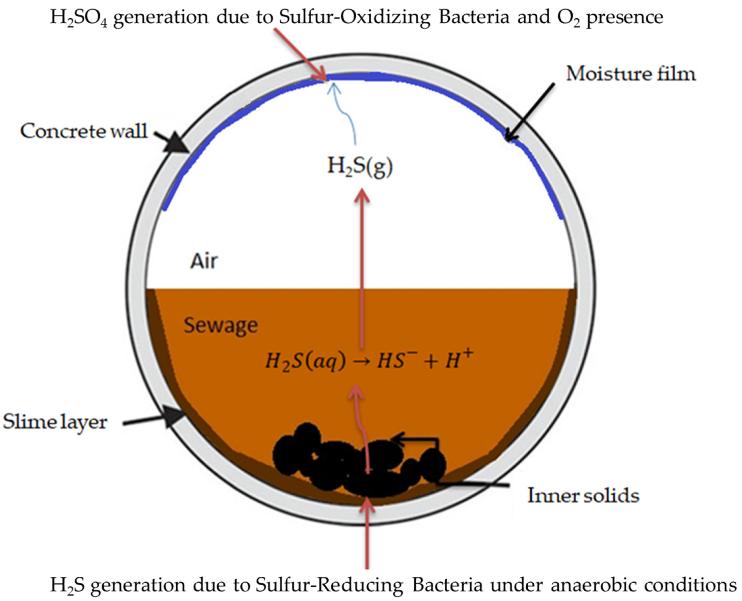 Sustainability 12 02638 g001