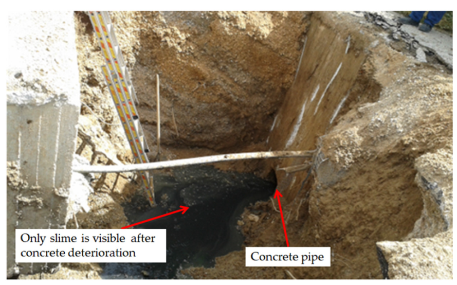 Sustainability 12 02638 g008