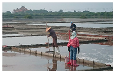 Sustainability 12 02660 i002 Sustainability 12 02660 i002