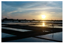 Sustainability 12 02660 i003 Sustainability 12 02660 i003