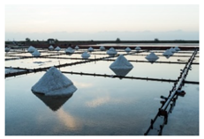 Sustainability 12 02660 i004 Sustainability 12 02660 i004