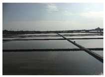 Sustainability 12 02660 i005 Sustainability 12 02660 i005