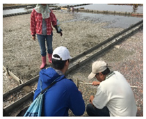 Sustainability 12 02660 i007 Sustainability 12 02660 i007